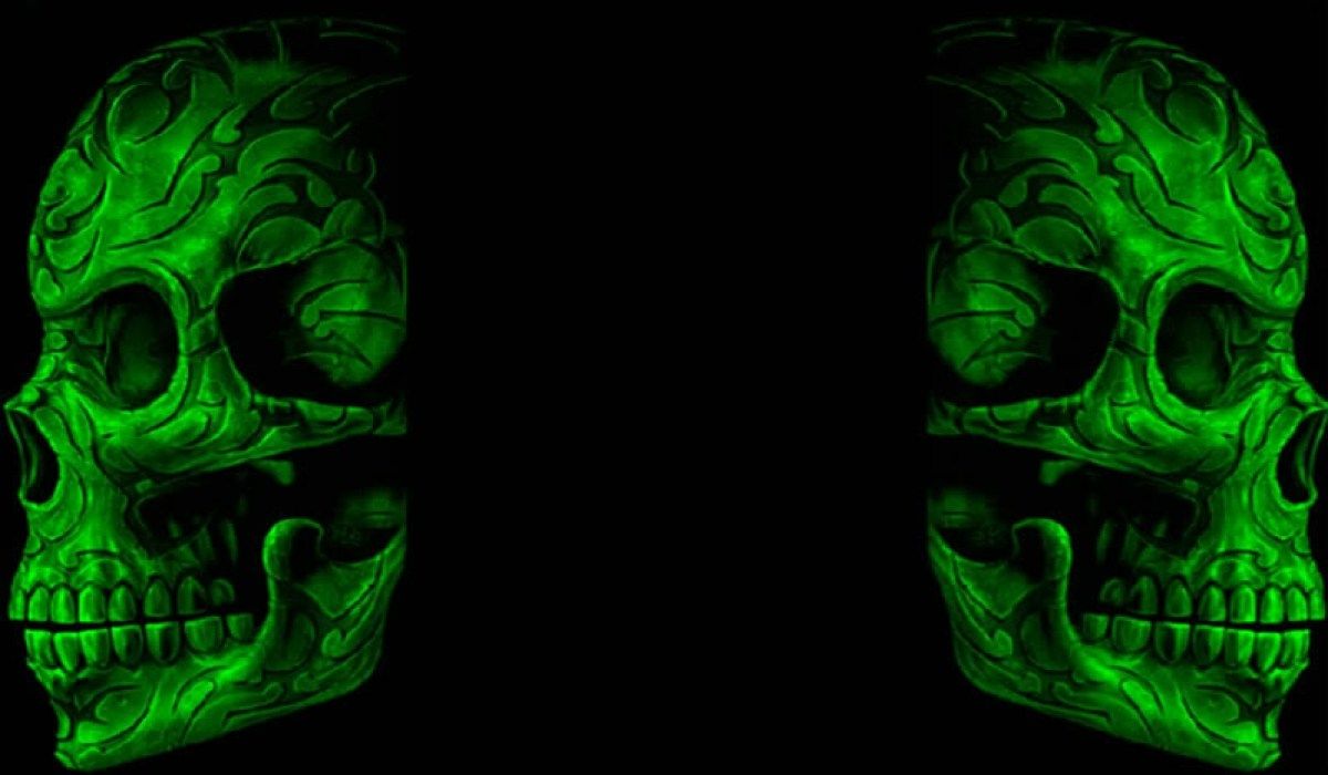 Teschio verde neon speculare, 1200x700 HD, Desktop