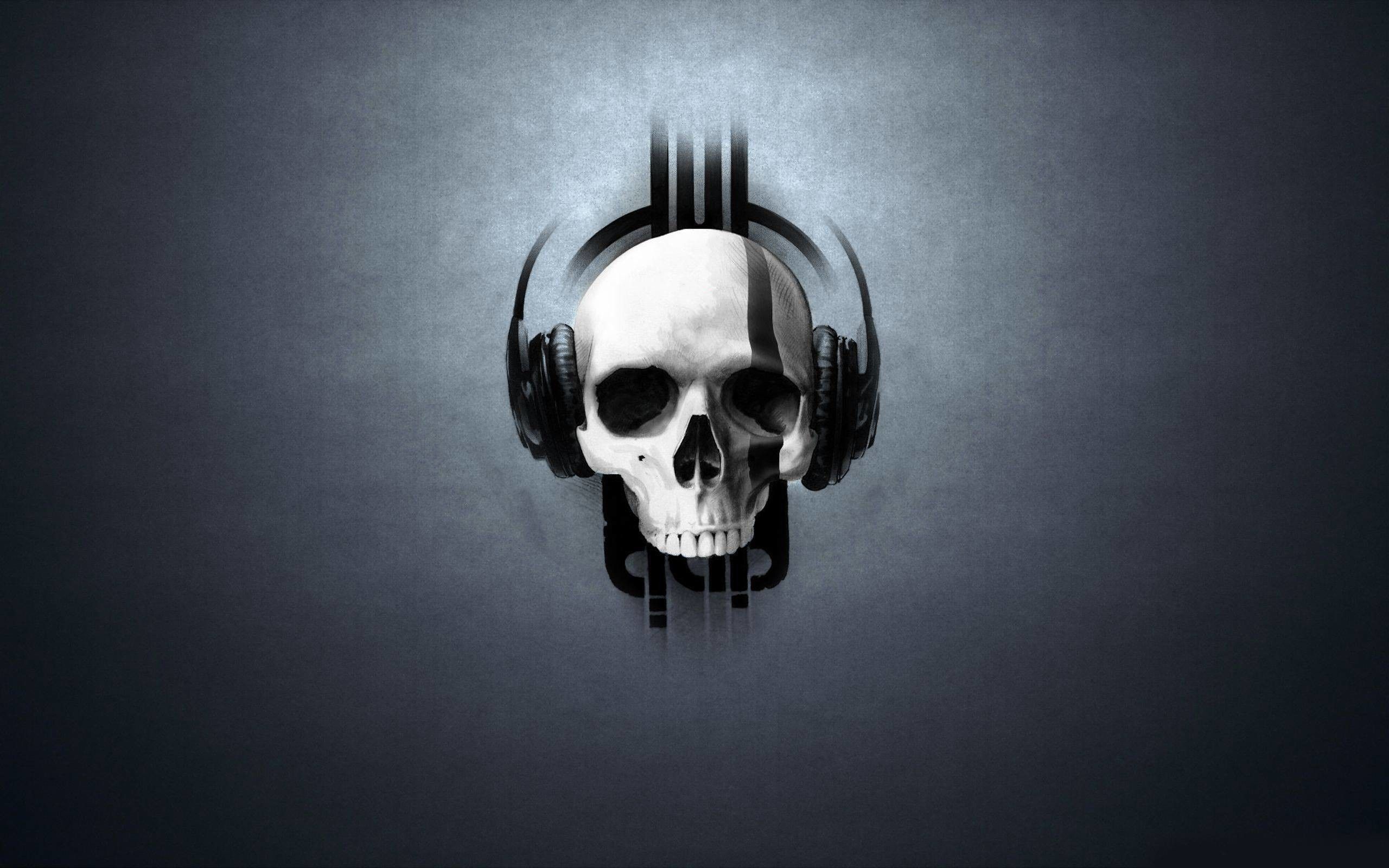 Teschio con cuffie grigio, 2560x1600 WQXGA, PC