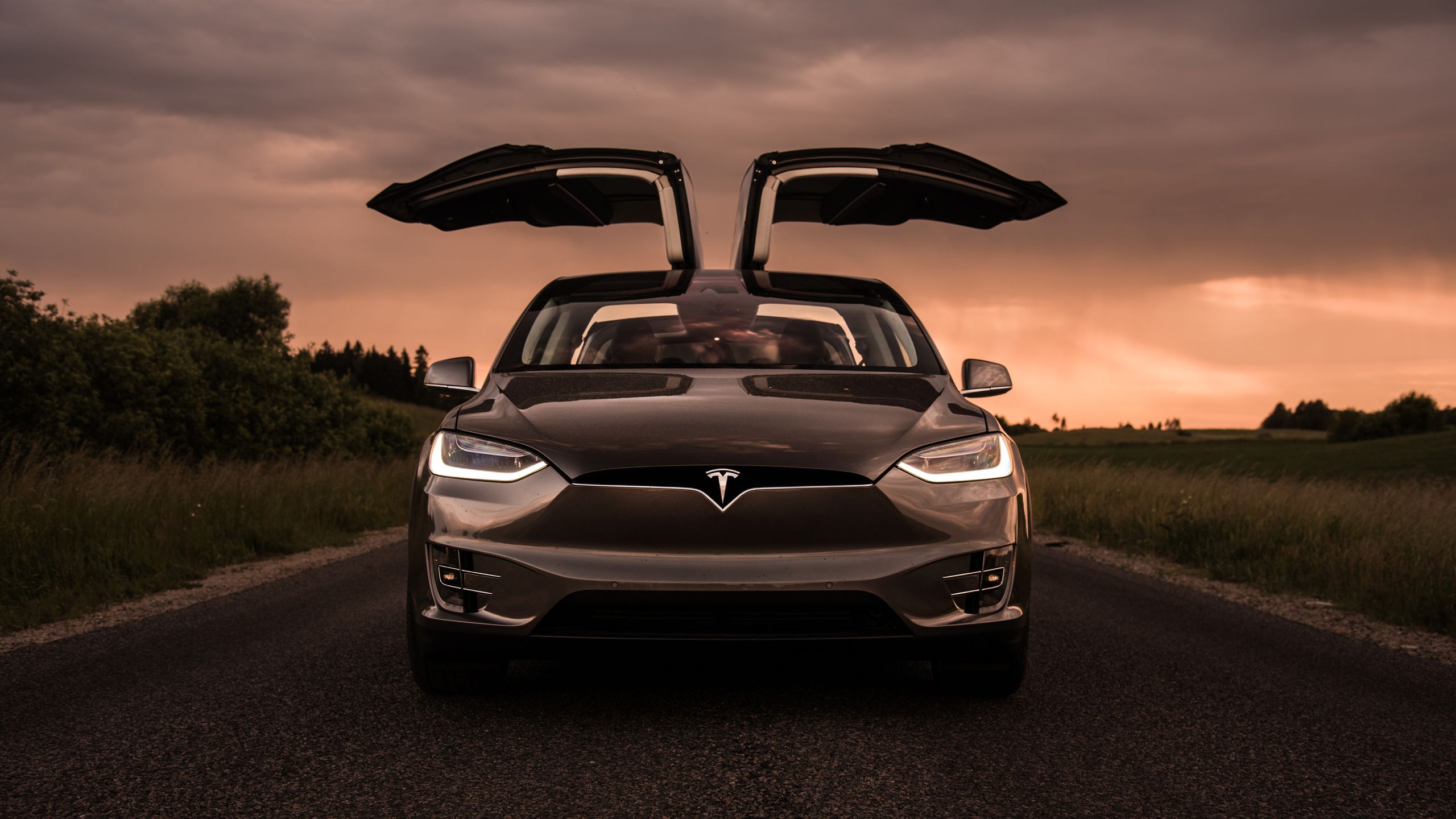 Tesla Model X portiere aperte, 2560x1440 2K, Desktop