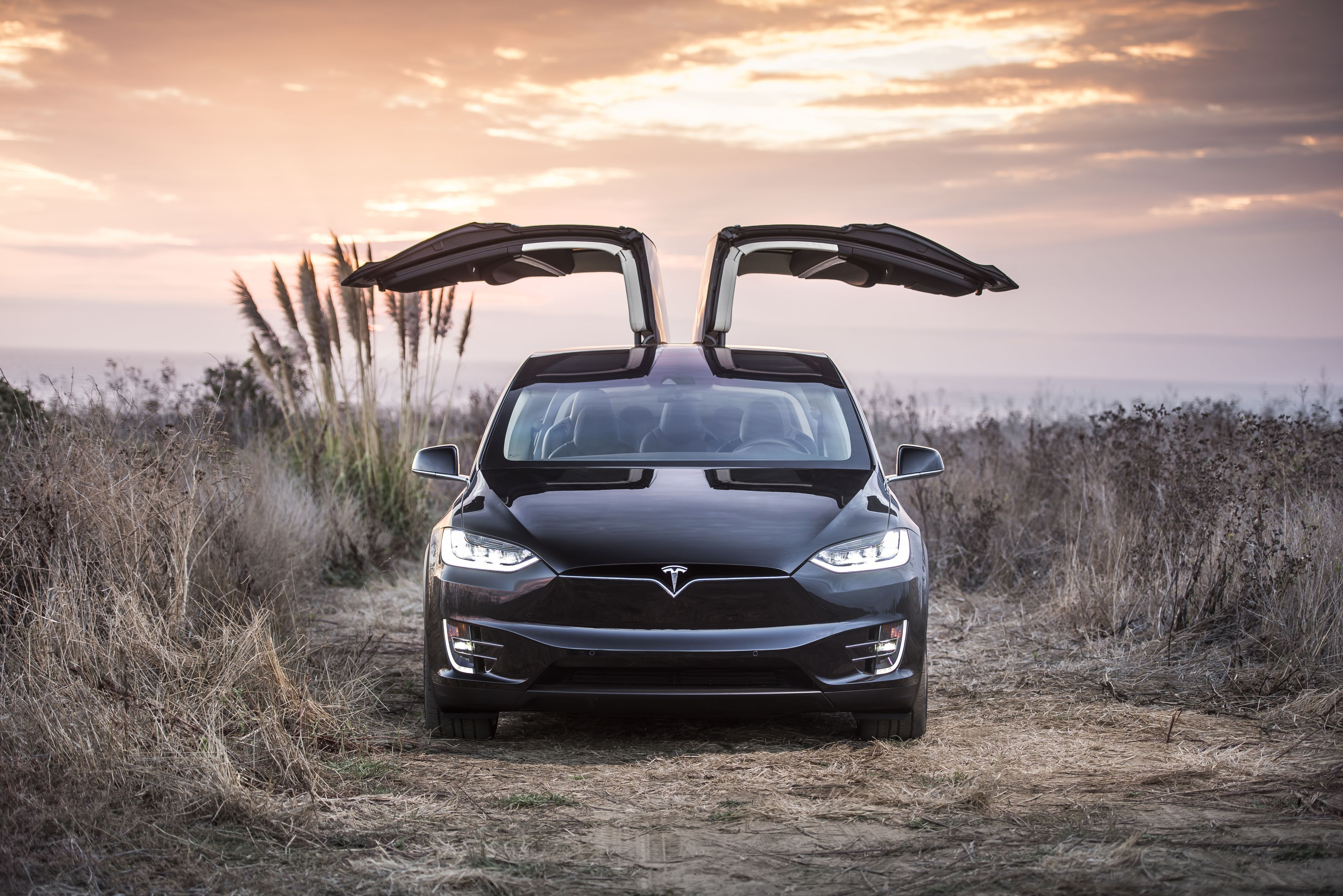 Tesla Model X portiere aperte, Elon Musk, 3840x2562 Ultra HD, 4K TV