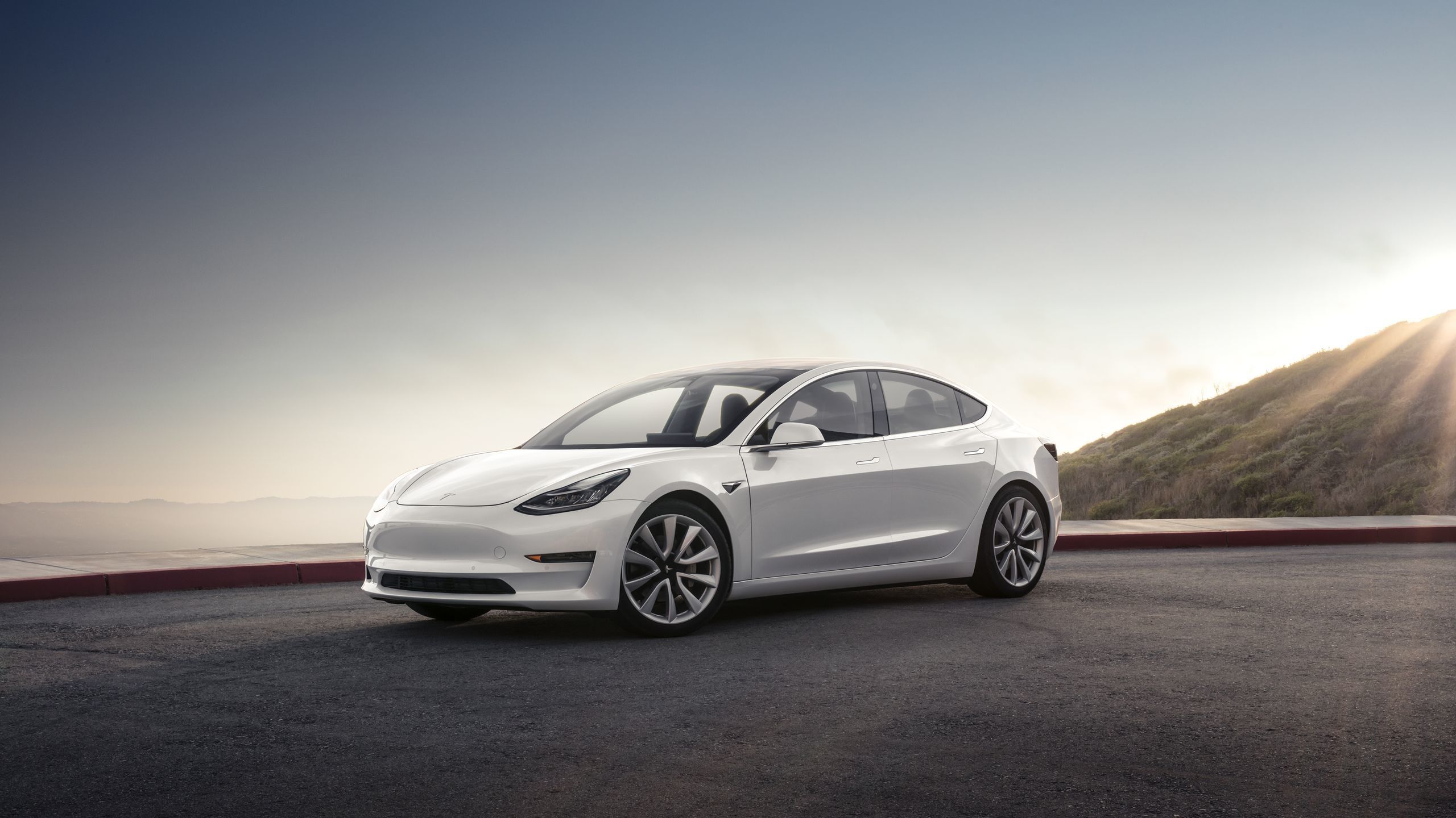 Tesla Model 3 bianca, 2560x1440 QHD, Laptop