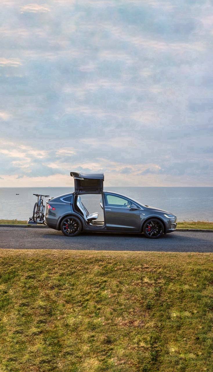 Tesla Model X portiere aperte mare, 734x1280 Verticale, Mobile