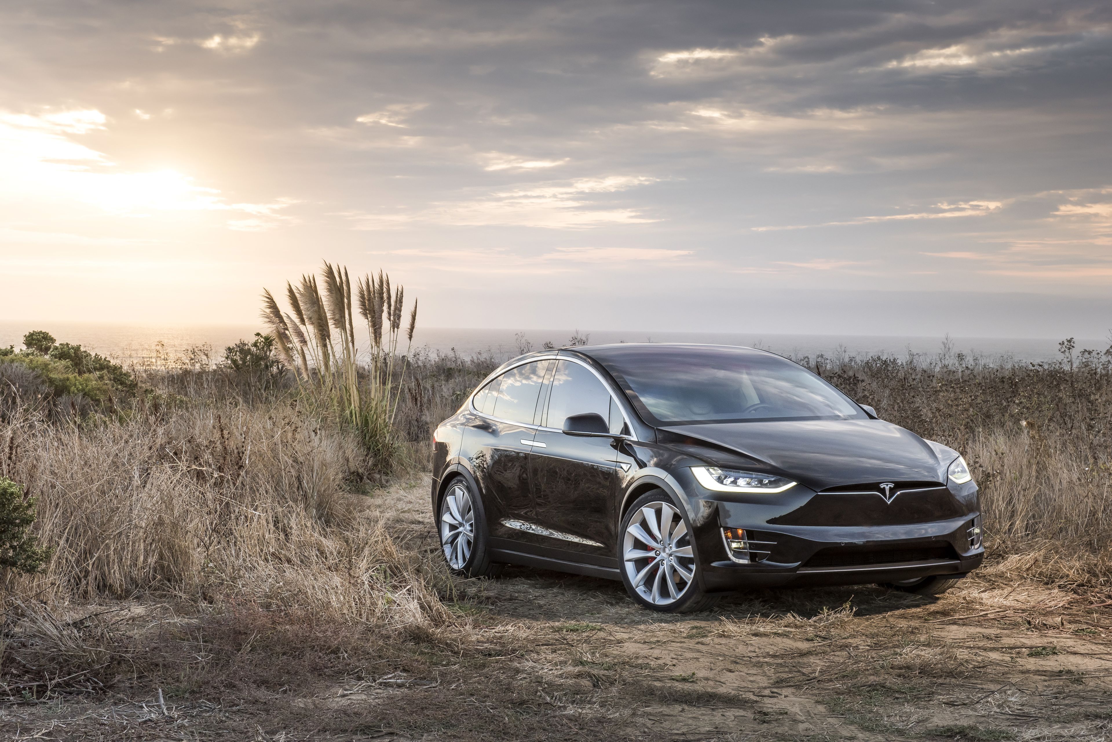 Tesla Model X nera campo, auto elettrica, 3840x2562 4K, Desktop 4K