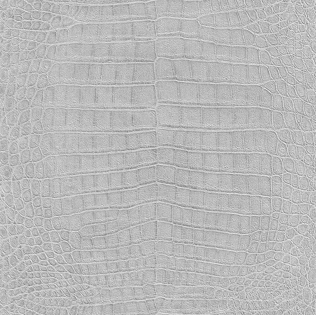Texture pelle coccodrillo argento, 1060x1056 HD, Laptop