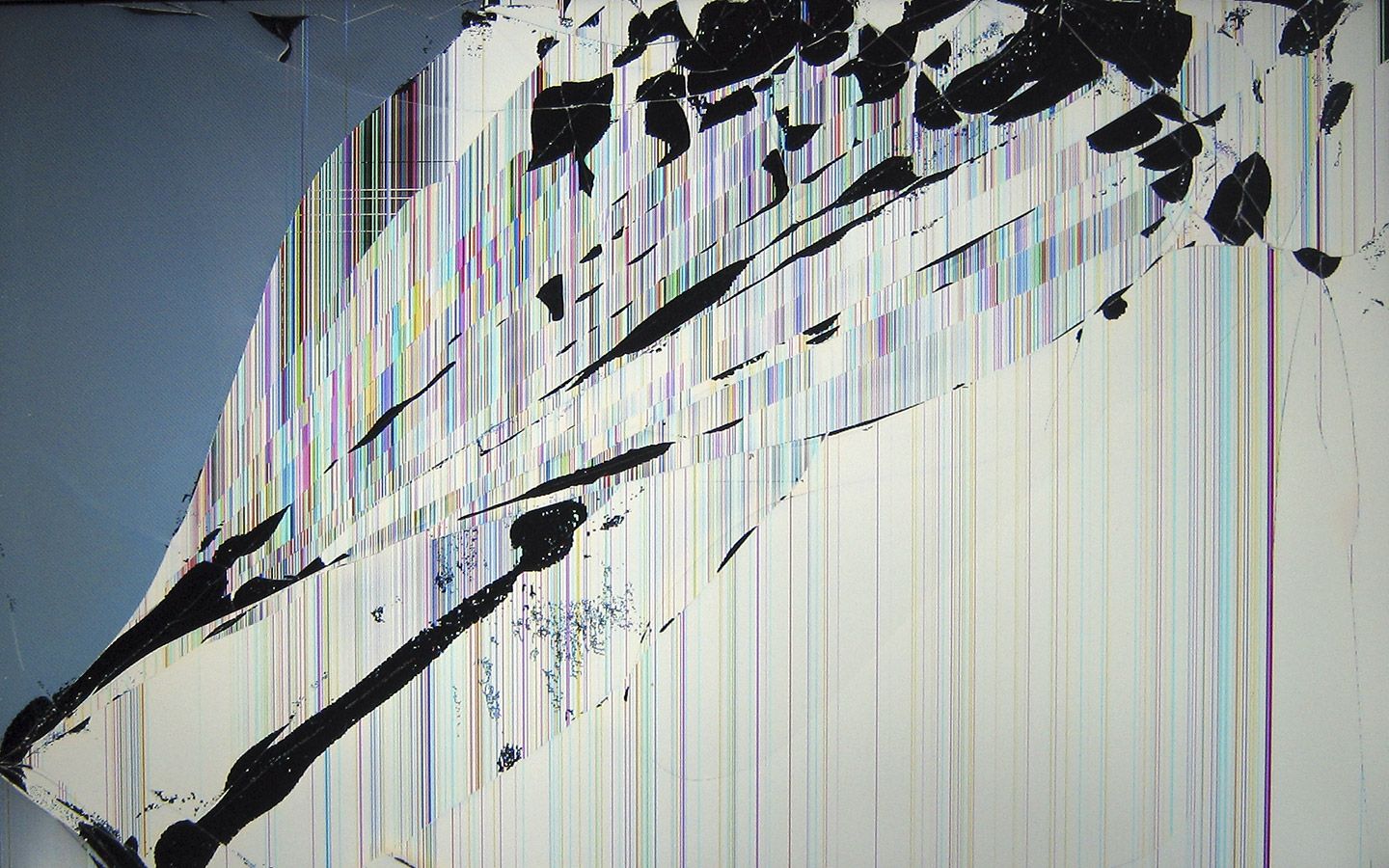 Bliss Windows schermo rotto, 1440x900 HD, PC Desktop
