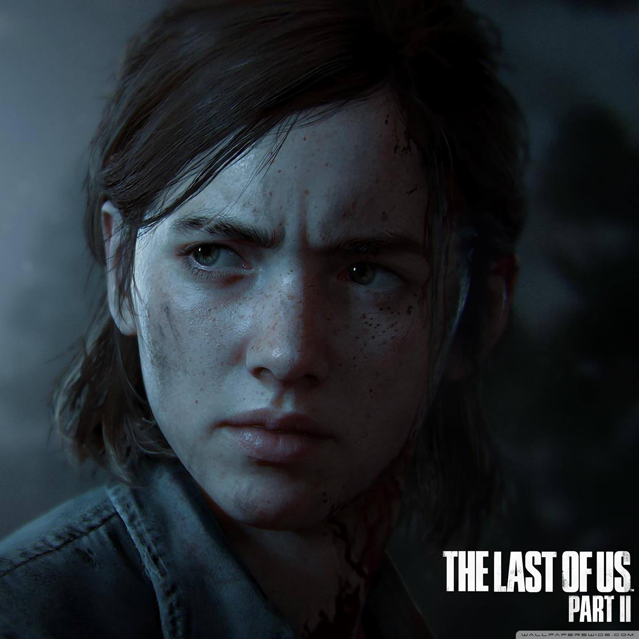 Ellie The Last of Us Part II, 2048x2048 alta risoluzione, Laptop