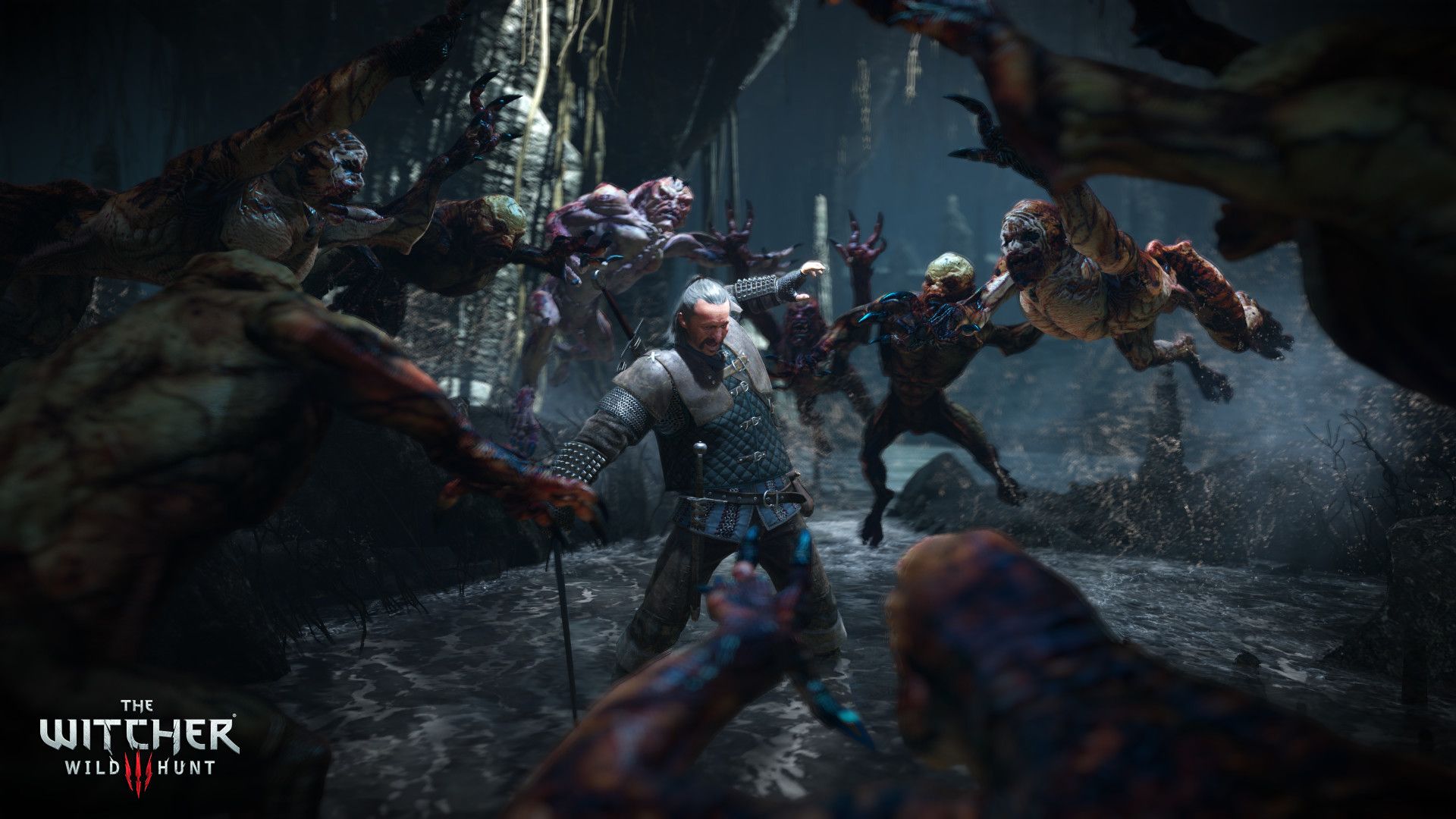 Geralt combatte mostri, The Witcher, 1920x1080 Full HD, Desktop
