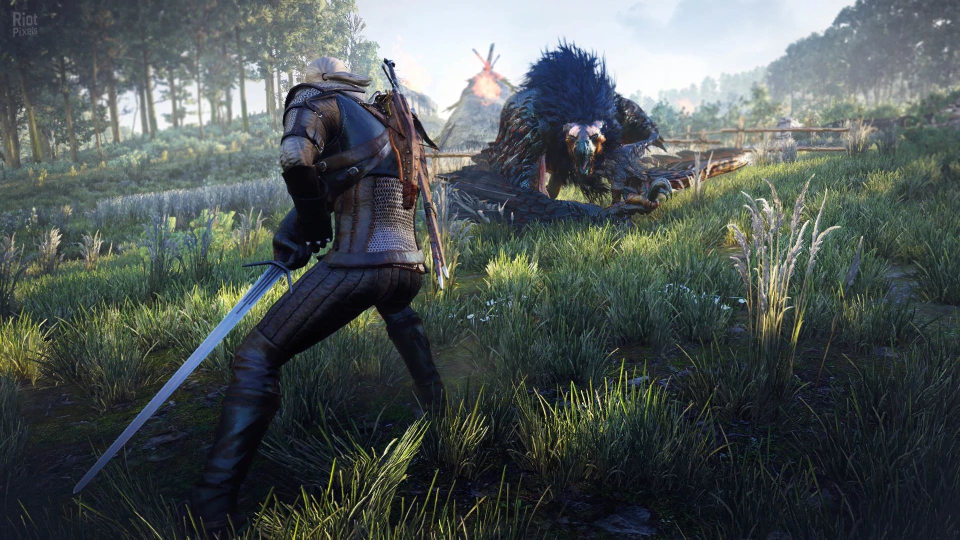 Geralt combatte mostro nel campo, 1920x1080 Full HD 1080p, PC