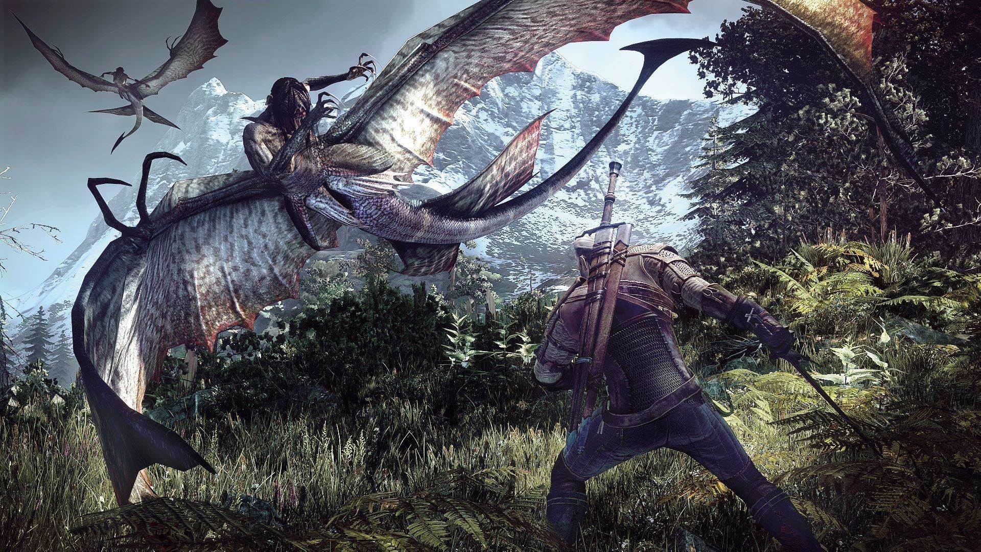 Geralt combatte drago Witcher 3, 1920x1080 Full HD, PC Desktop