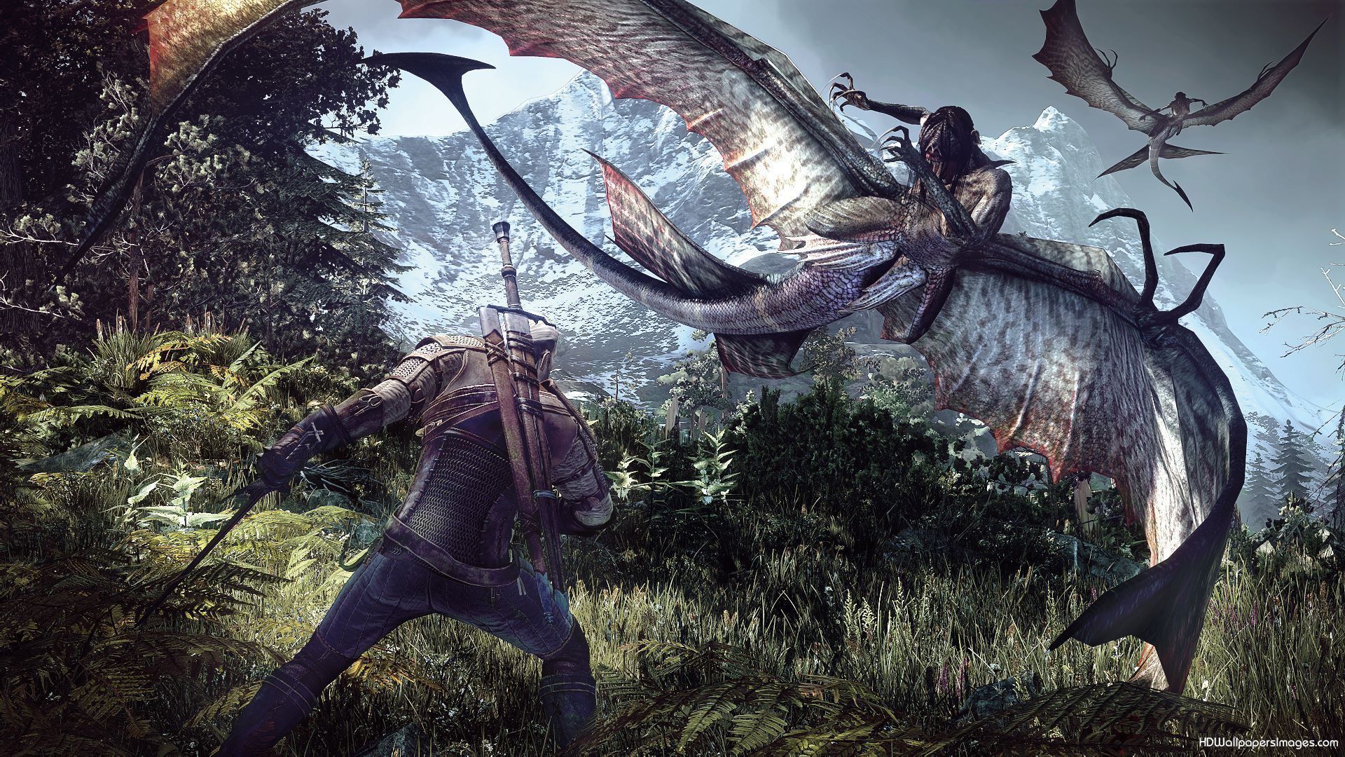 Geralt combatte drago The Witcher, 1920x1080 Full HD 1080p, Desktop