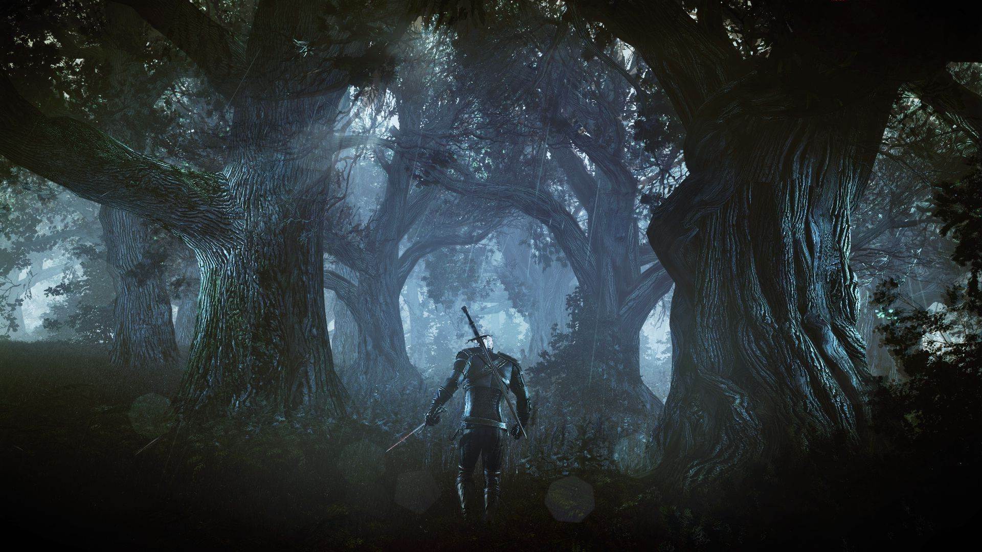 Geralt nella foresta buia, 1920x1080 1080p, PC Desktop