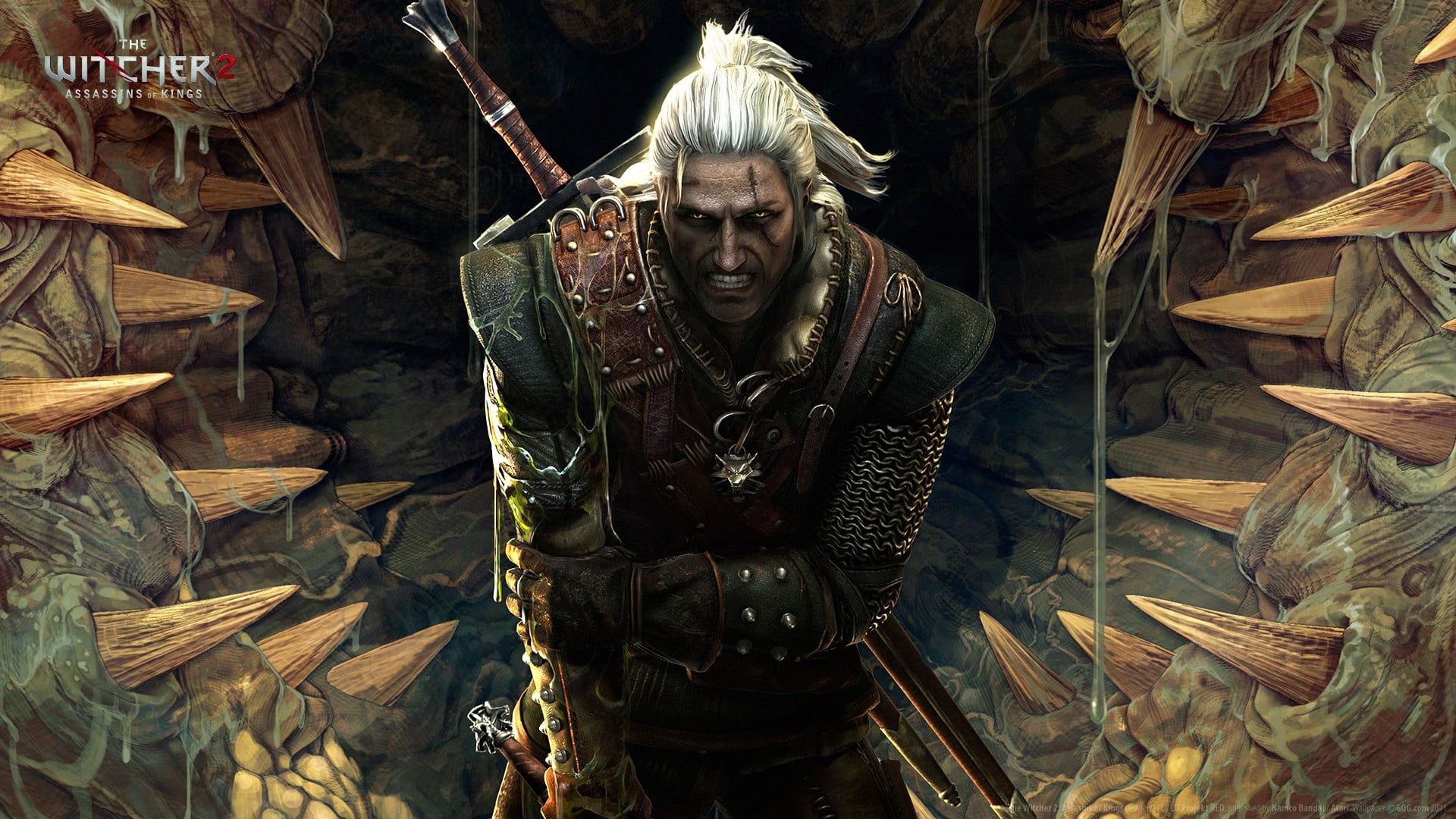 Geralt of Rivia The Witcher, 1920x1080 Full HD, PC