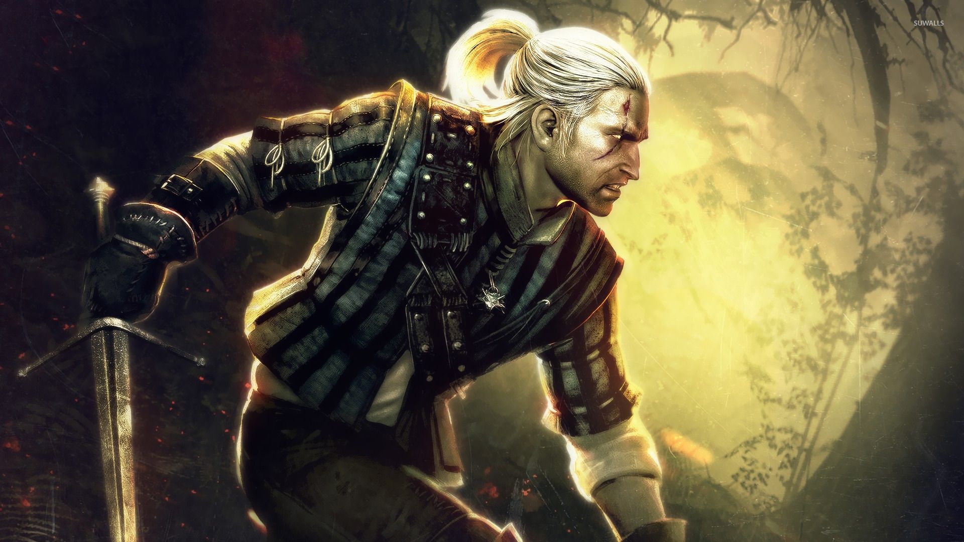 Geralt The Witcher 2, 1920x1080 Full HD, Laptop