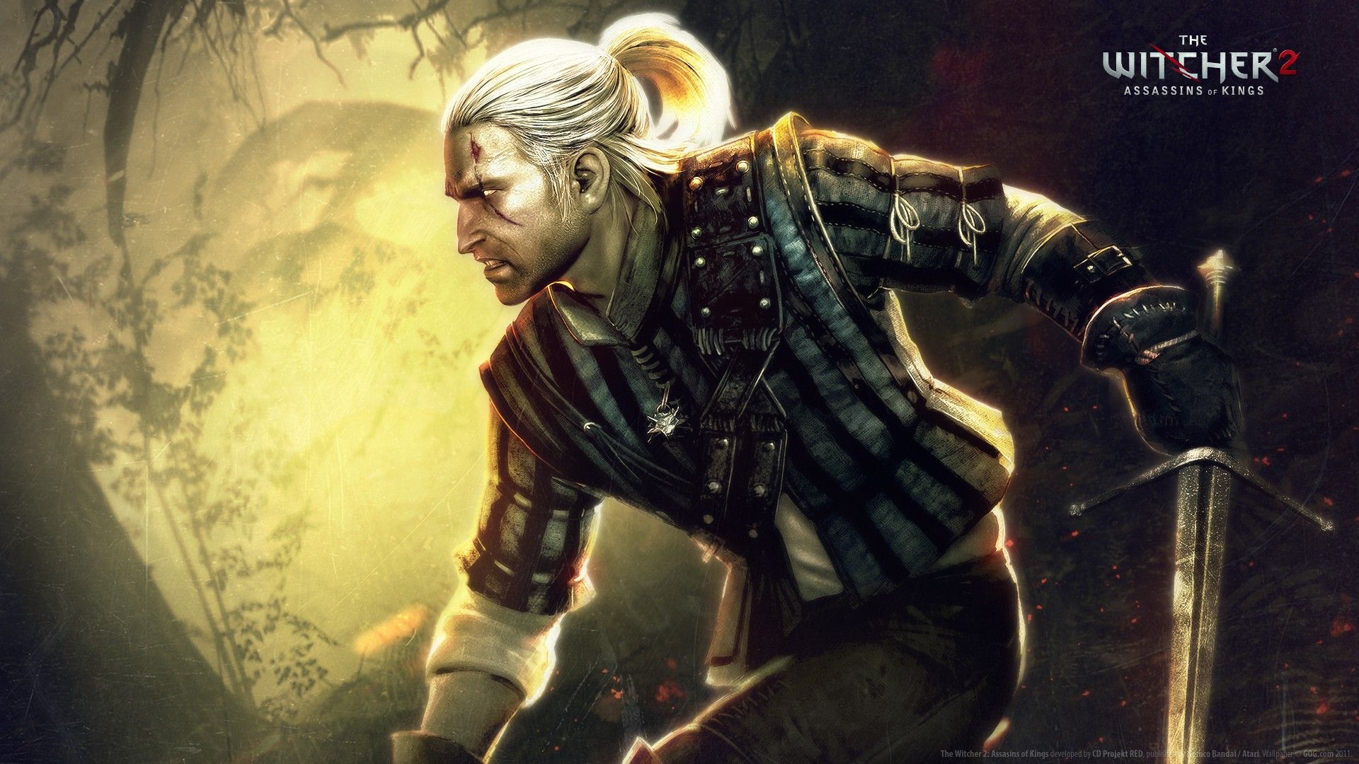 Geralt of Rivia, The Witcher 2, 1920x1080 1080p, Laptop