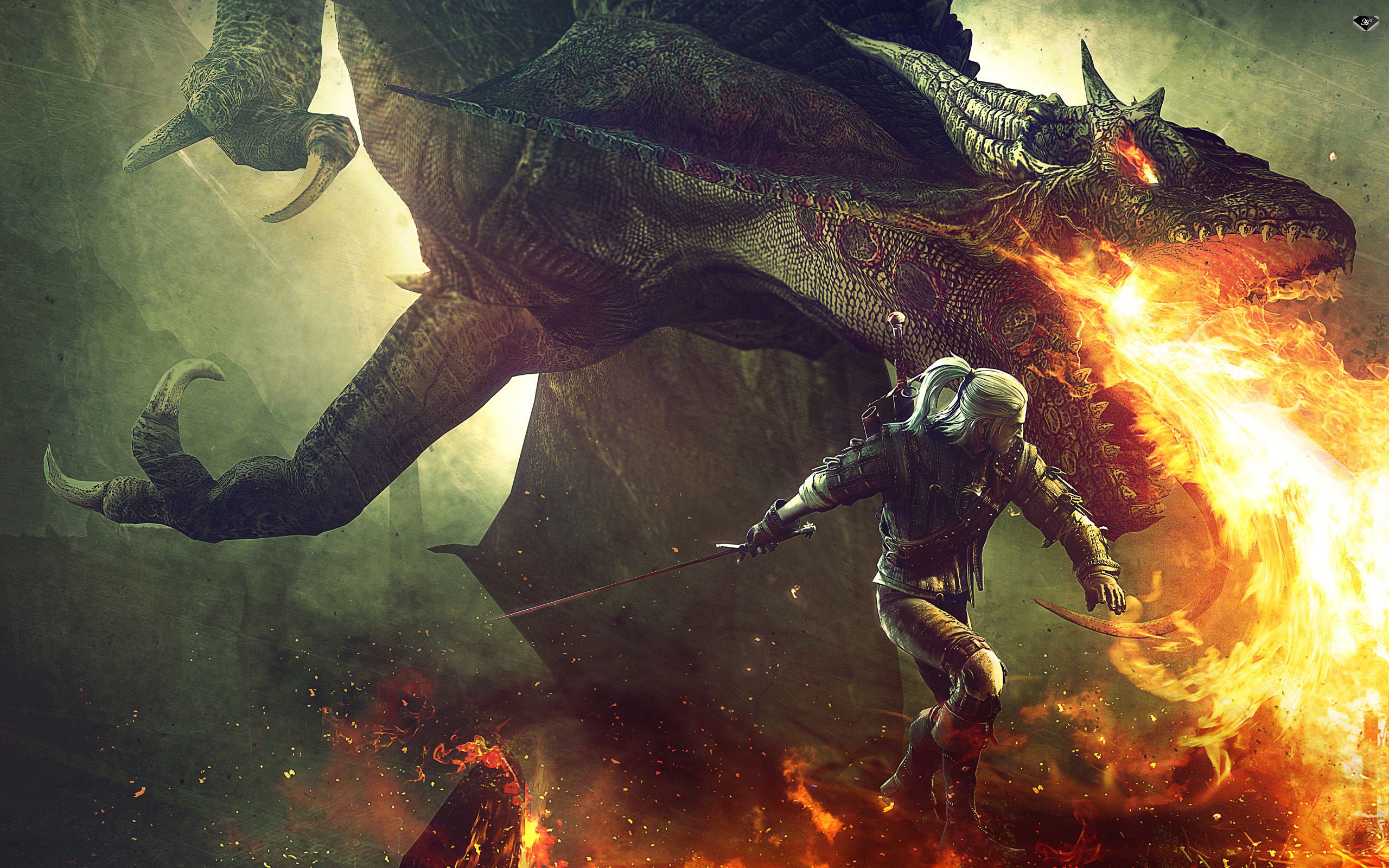 Geralt combatte drago sputafuoco, The Witcher, 2560x1600 2K, Laptop