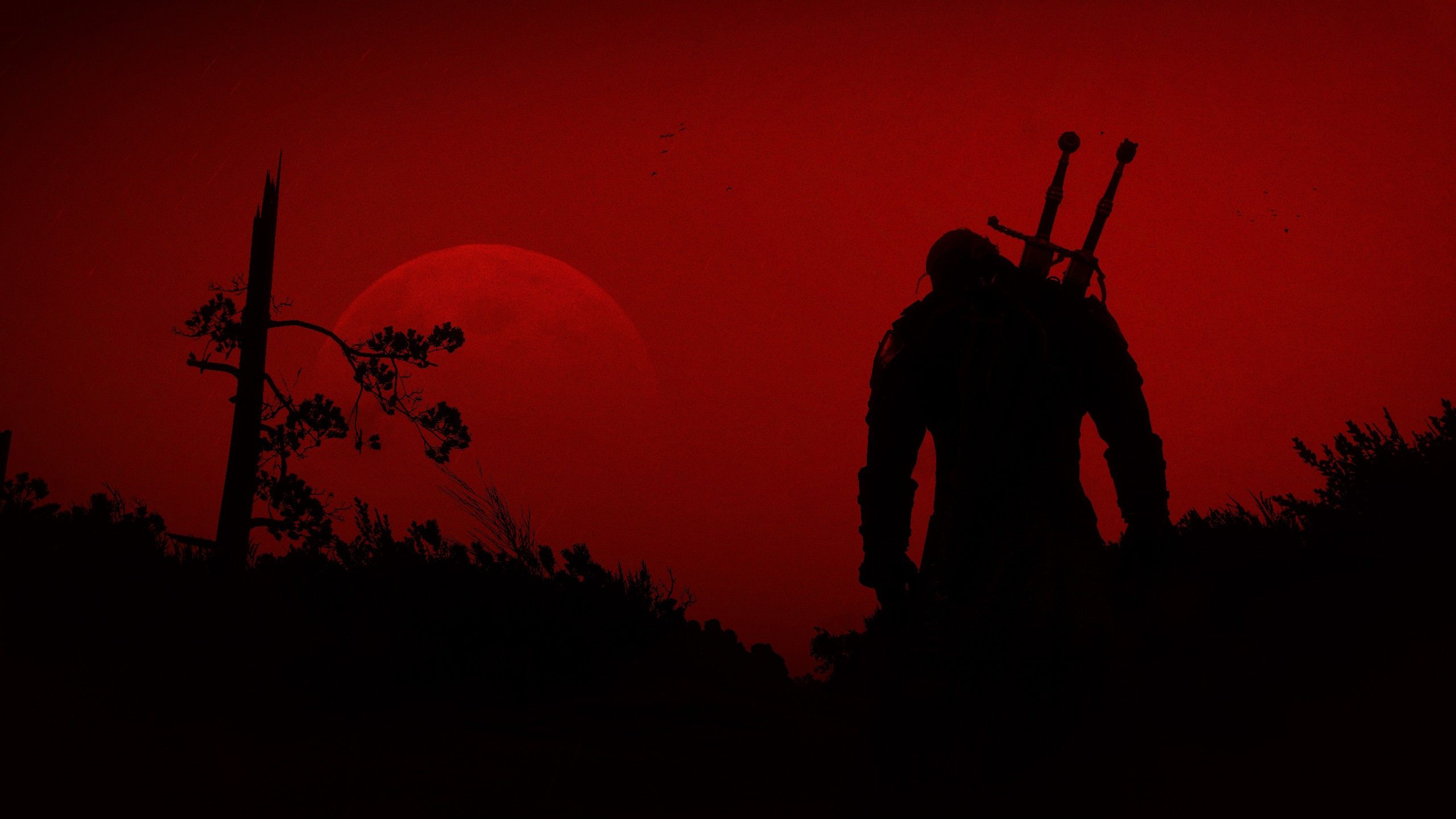 Geralt silhouette tramonto rosso, 2560x1440 2K QHD, Monitor Gaming