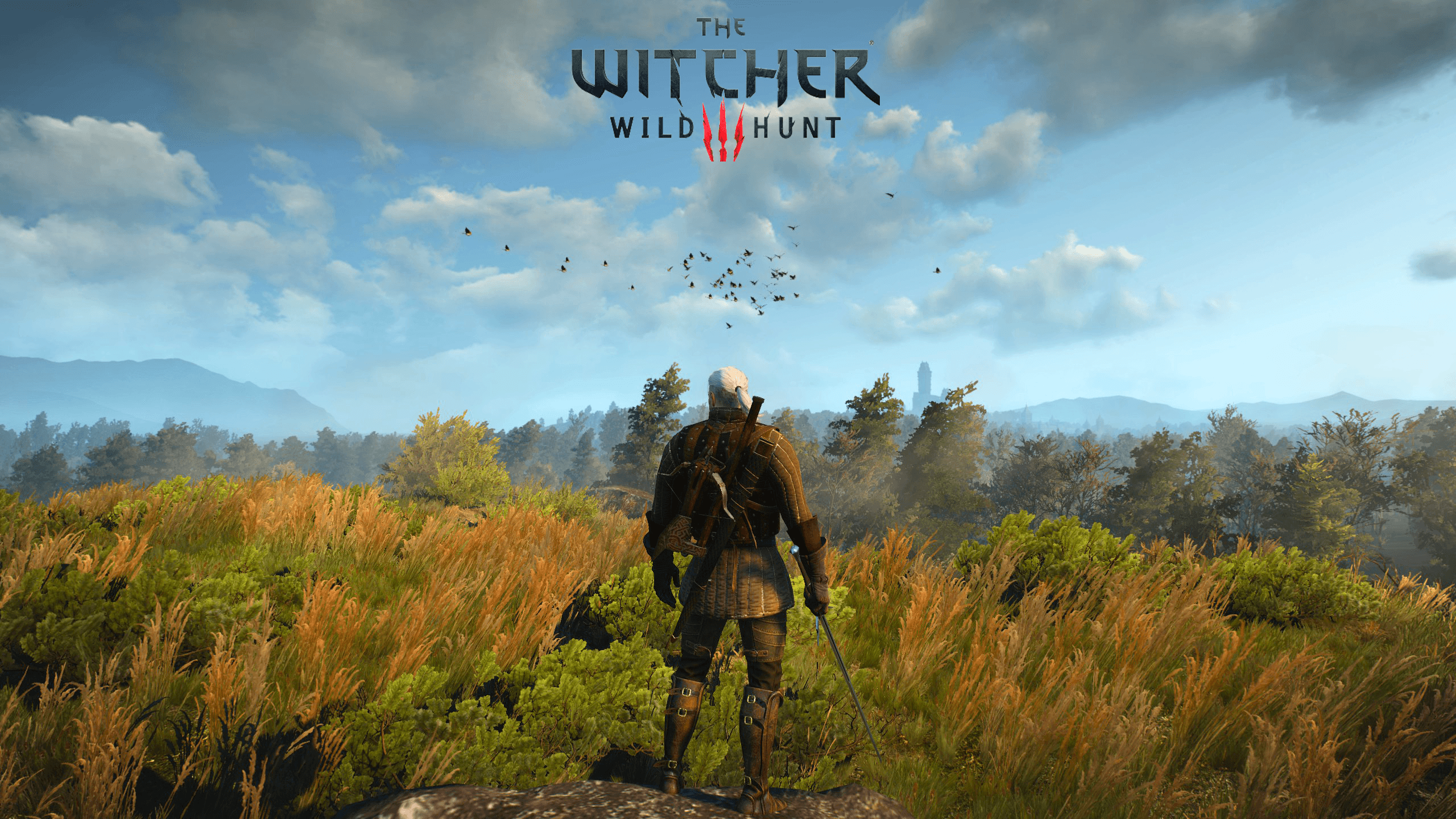 Geralt su collina erbosa, 2560x1440 QHD, PC