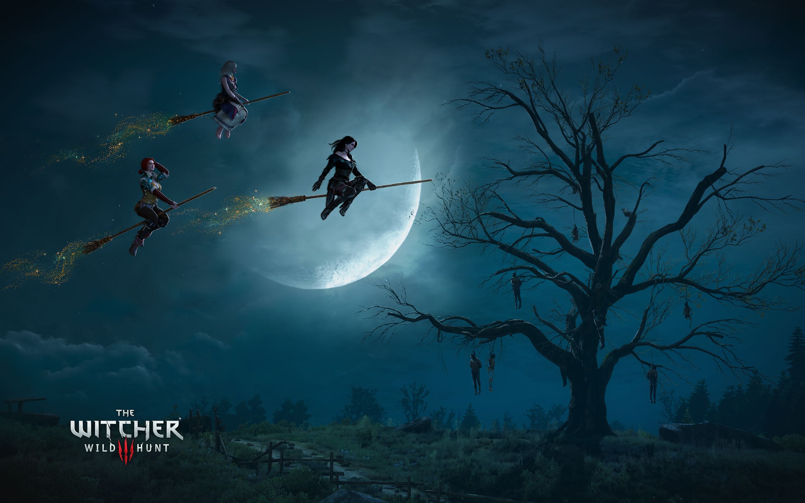Streghe volanti Witcher 3, luna, RPG, 2560x1600 2K, Laptop