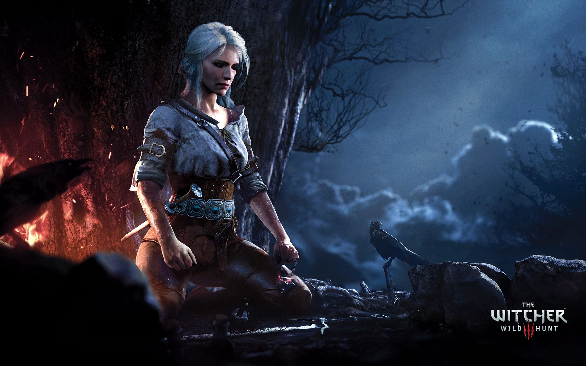 Ciri The Witcher 3, 1920x1200 Full HD+ WUXGA, Desktop