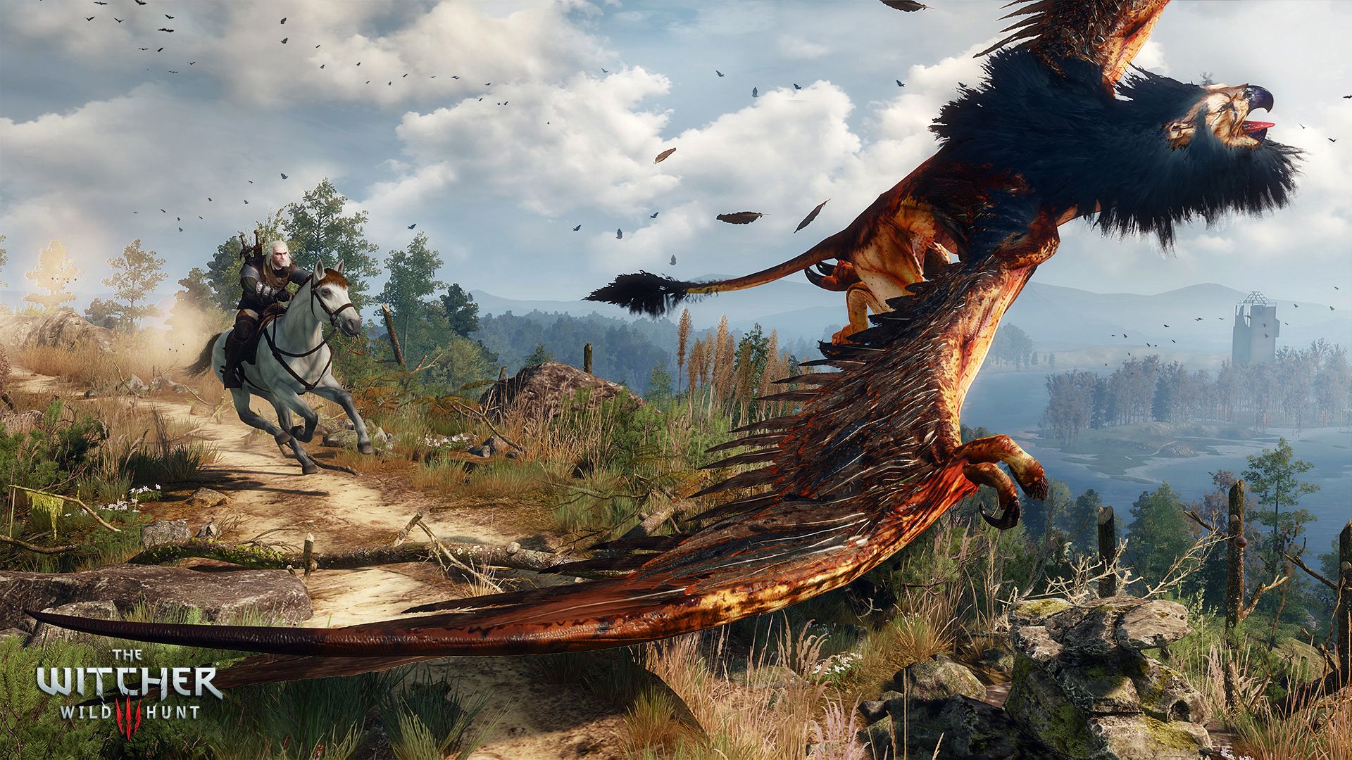 Geralt combatte grifone Witcher 3, 1920x1080 1080p, Desktop