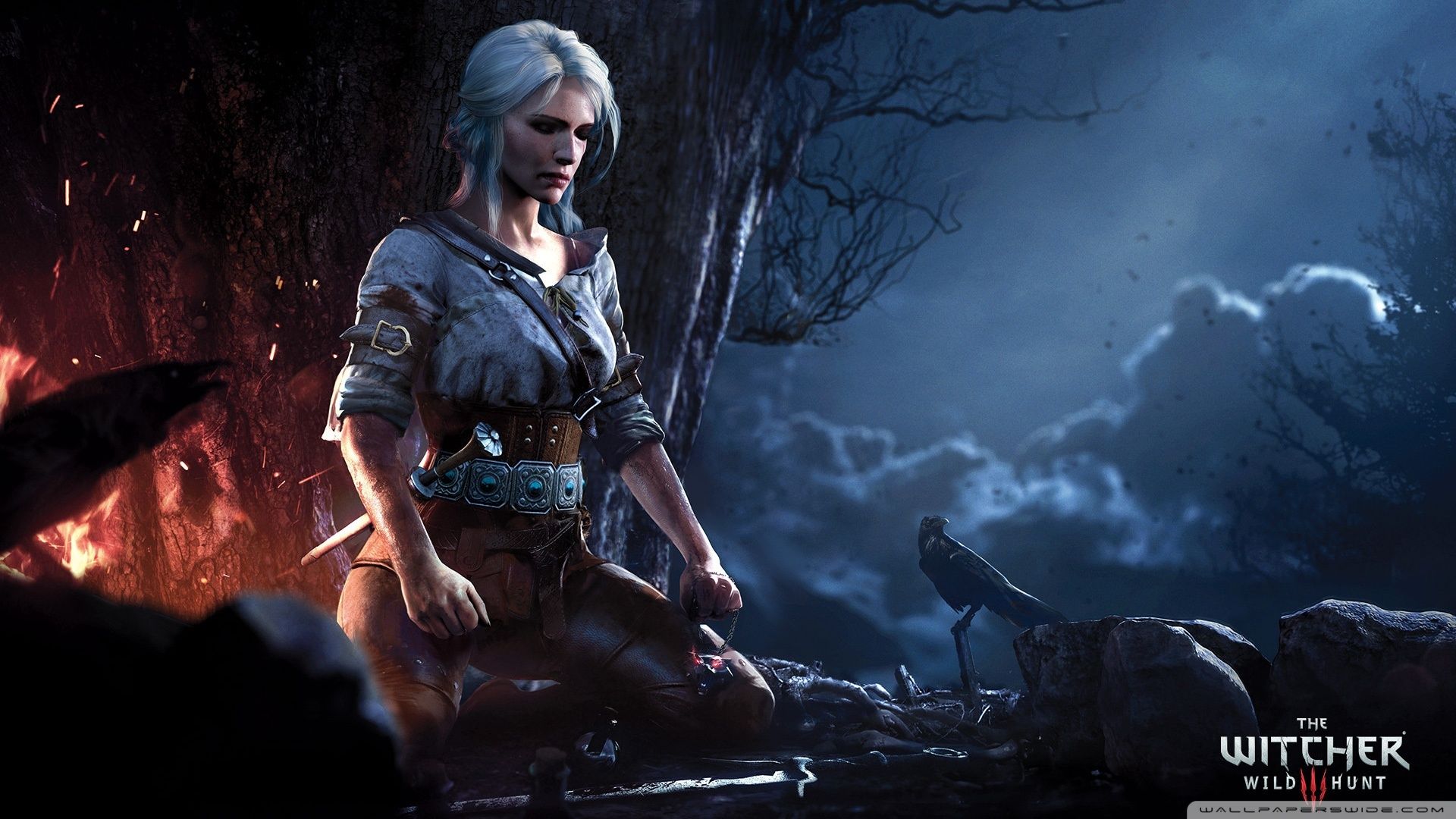 Ciri The Witcher 3, 1920x1080 Full HD, Desktop