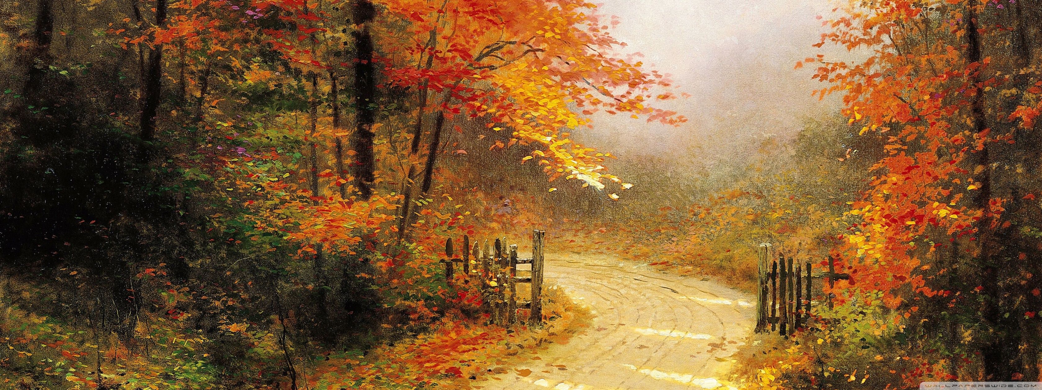 Sentiero autunnale nel bosco, 1024x768 HD, Desktop