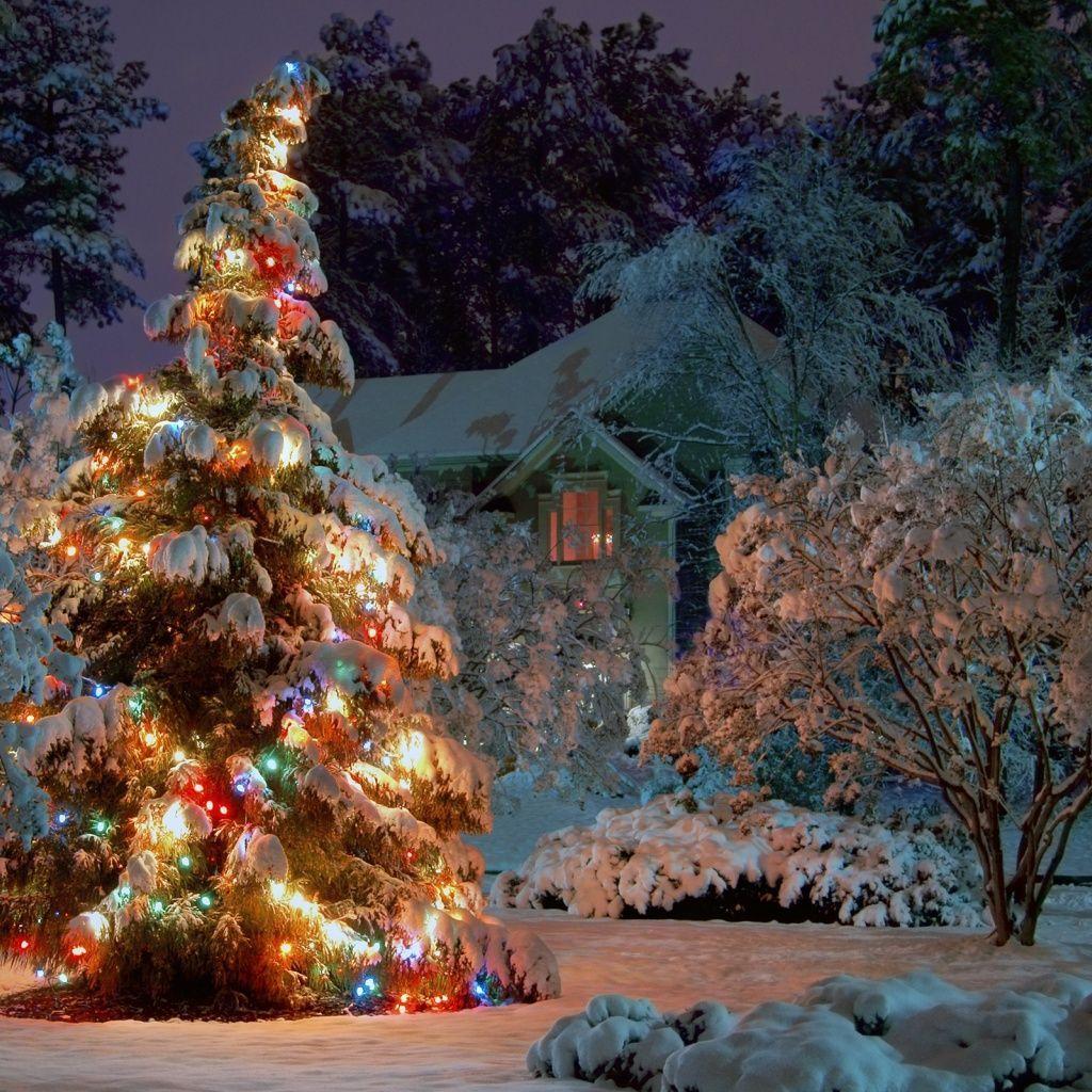 Casa innevata con albero natalizio illuminato, 1024x1024 HD, PC