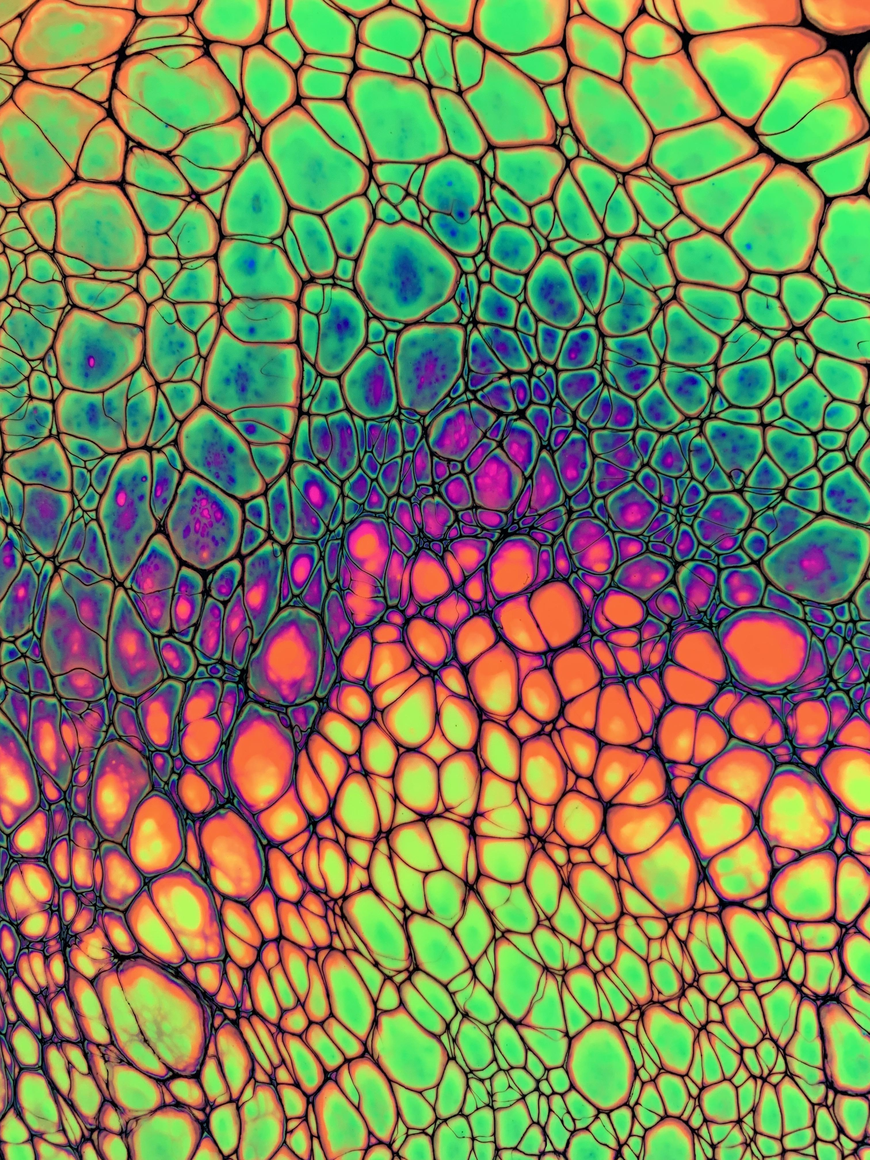 Pittura acrilica cellule neon, 3024x4032 Full HD Verticale, Smartphone