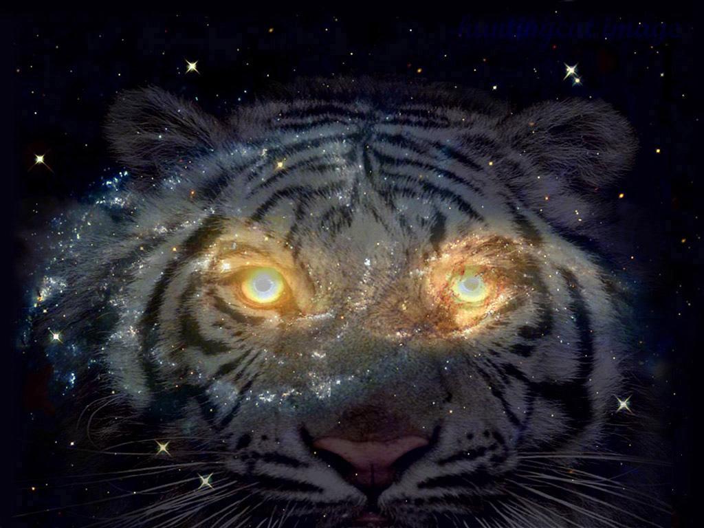 Tigre con texture galassia, 1024x768 HD, Desktop
