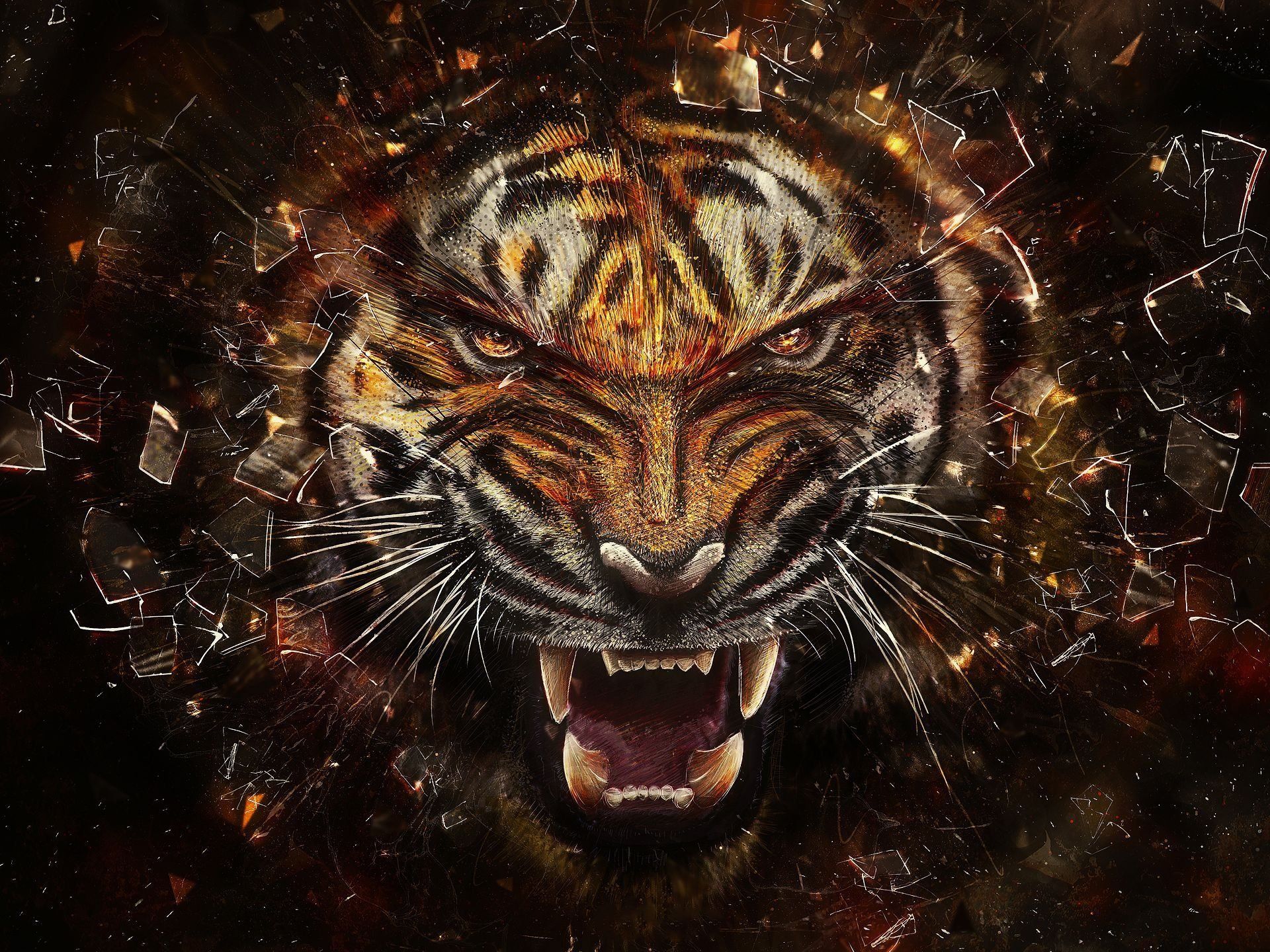 Tigre Galassia, 1920x1440 WUXGA, Desktop