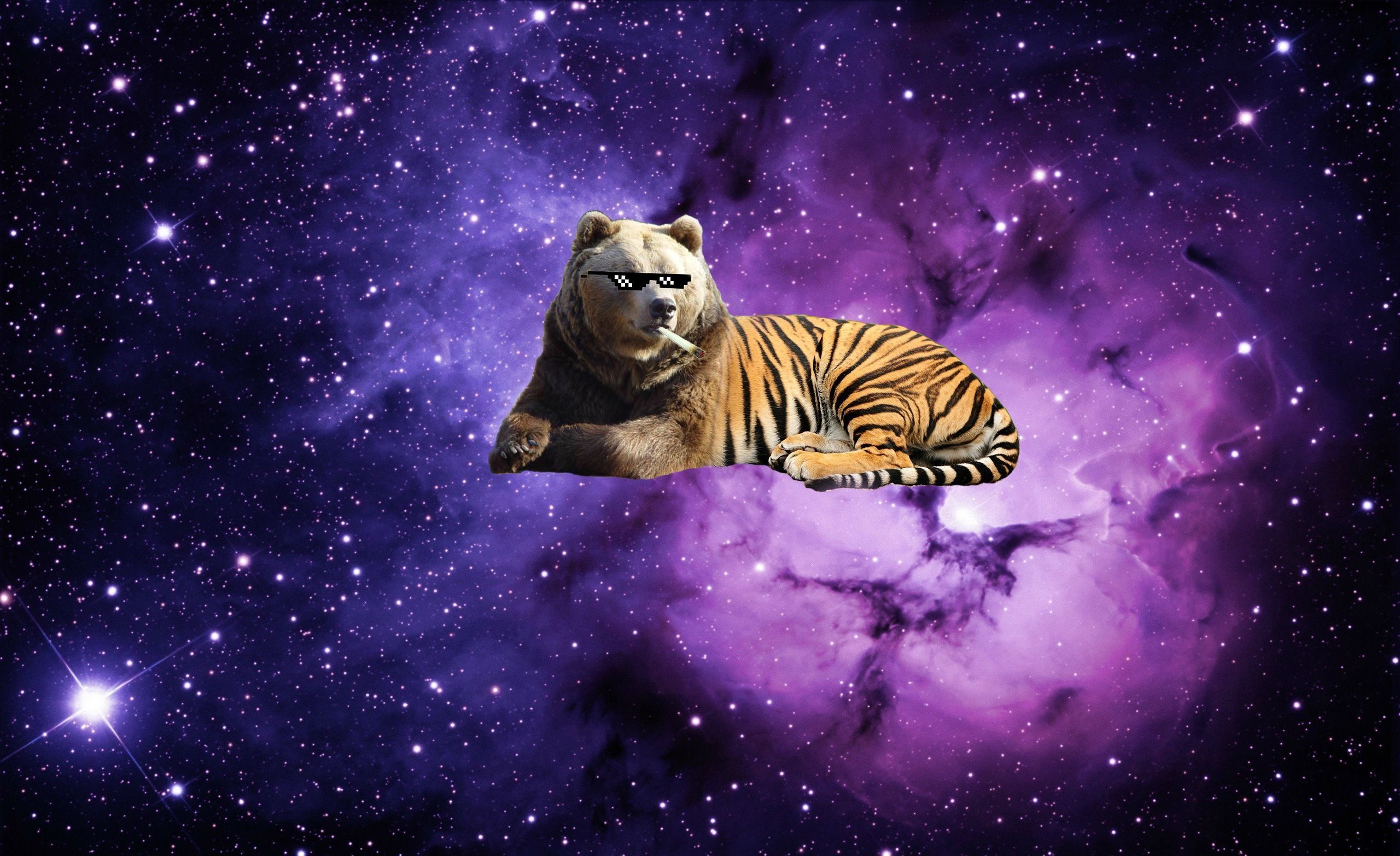 Tigre con galassia colorata, 1600x1600 900p, Laptop