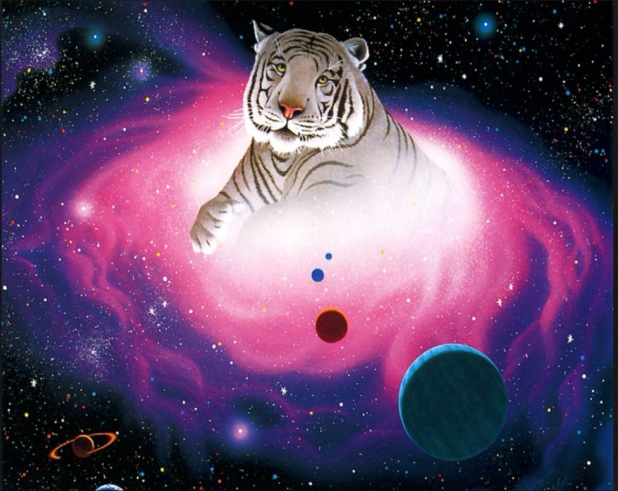 Tigre bianca nella galassia, 1202x955 HD, Desktop