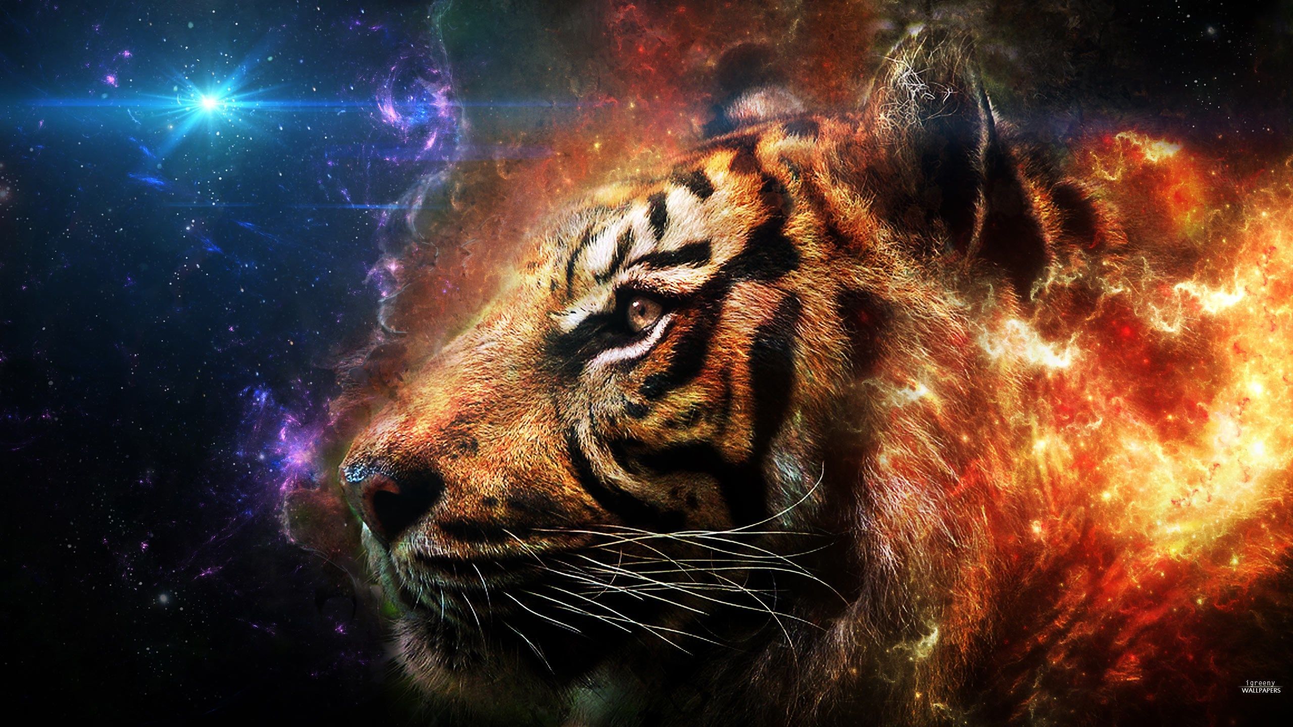 Tigre fiammeggiante nella galassia, 2560x1440 2K QHD, Monitor Gaming