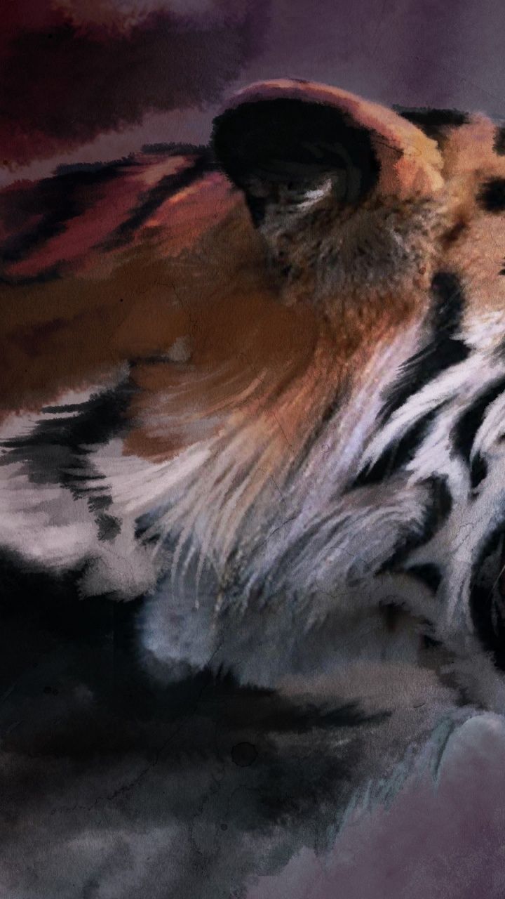 Tigre bianca nella galassia, 1280x720 HD, Desktop