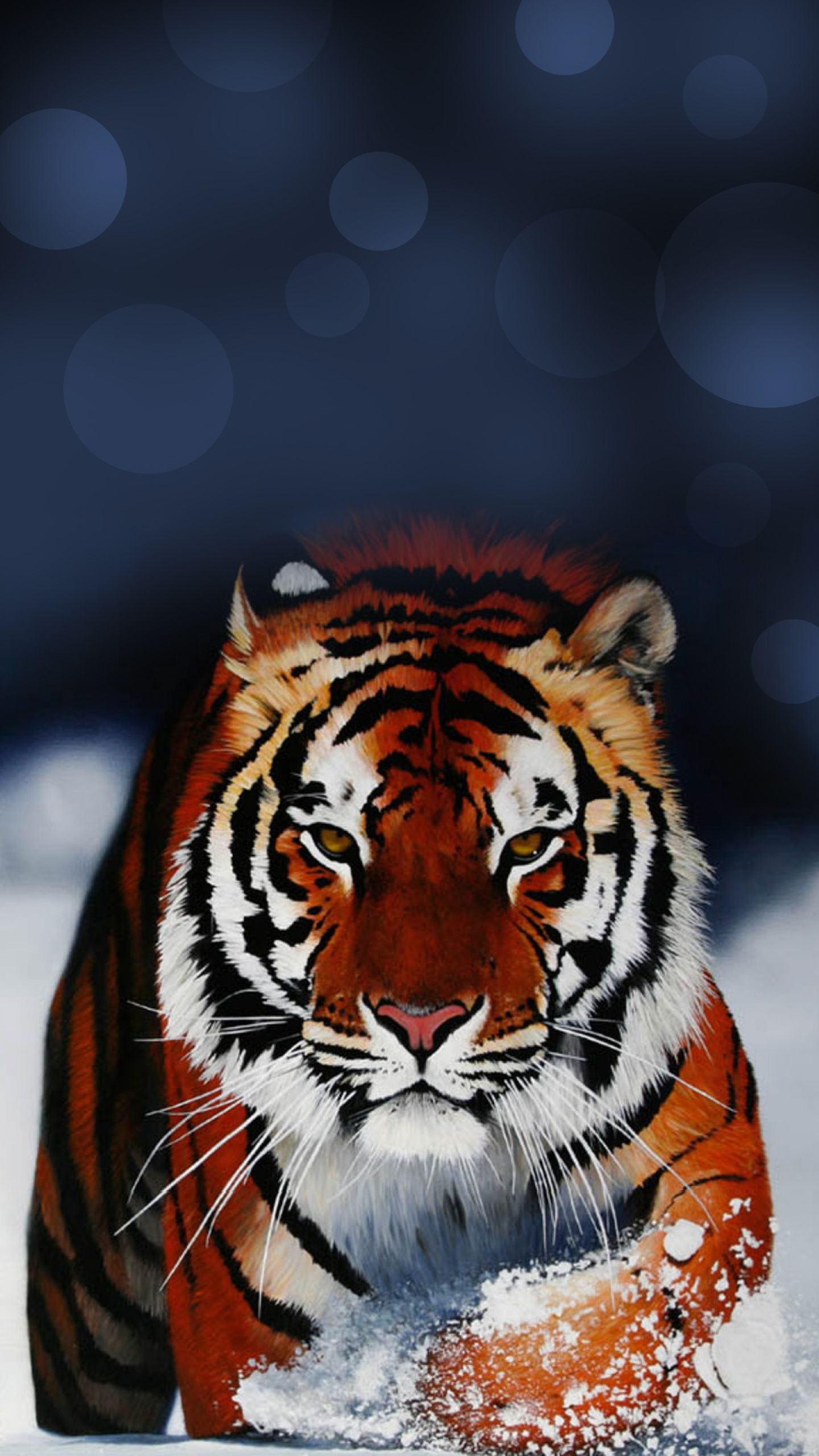 Tigre primo piano, 1080x1920 Verticale, Telefono