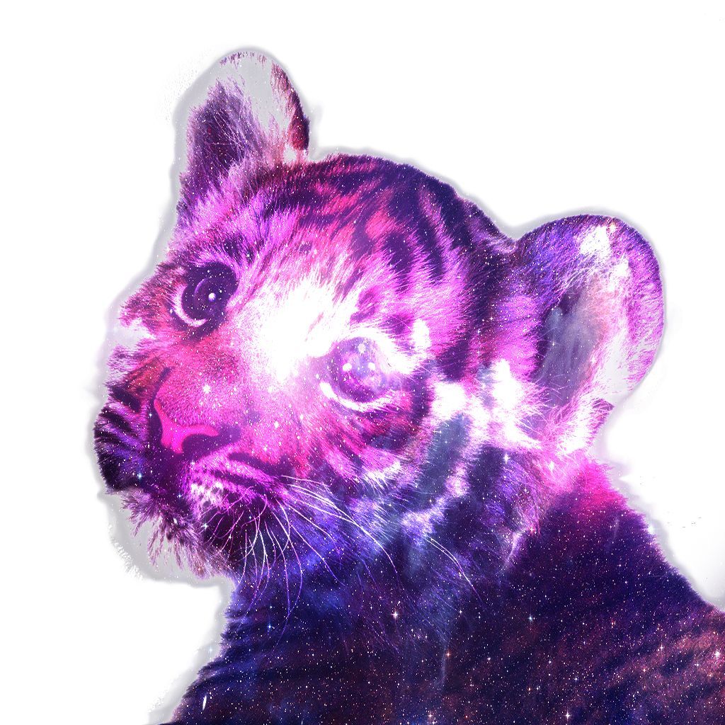 Tigre cucciolo galassia viola, 1024x1024 HD, Desktop