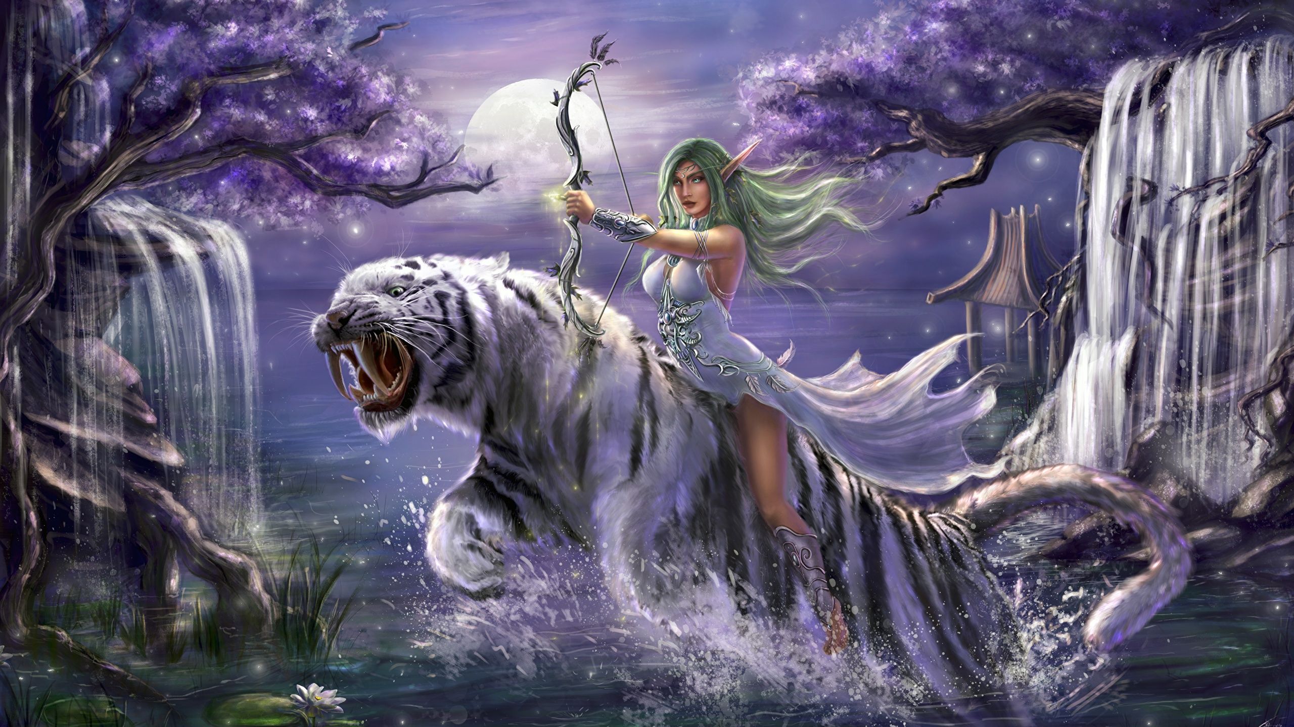 Guerriero elefante tigre bianca, 1920x1080 1080p, Desktop