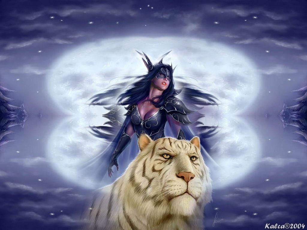 Guerriero tigre con spada, 685x1167 Verticale, Mobile