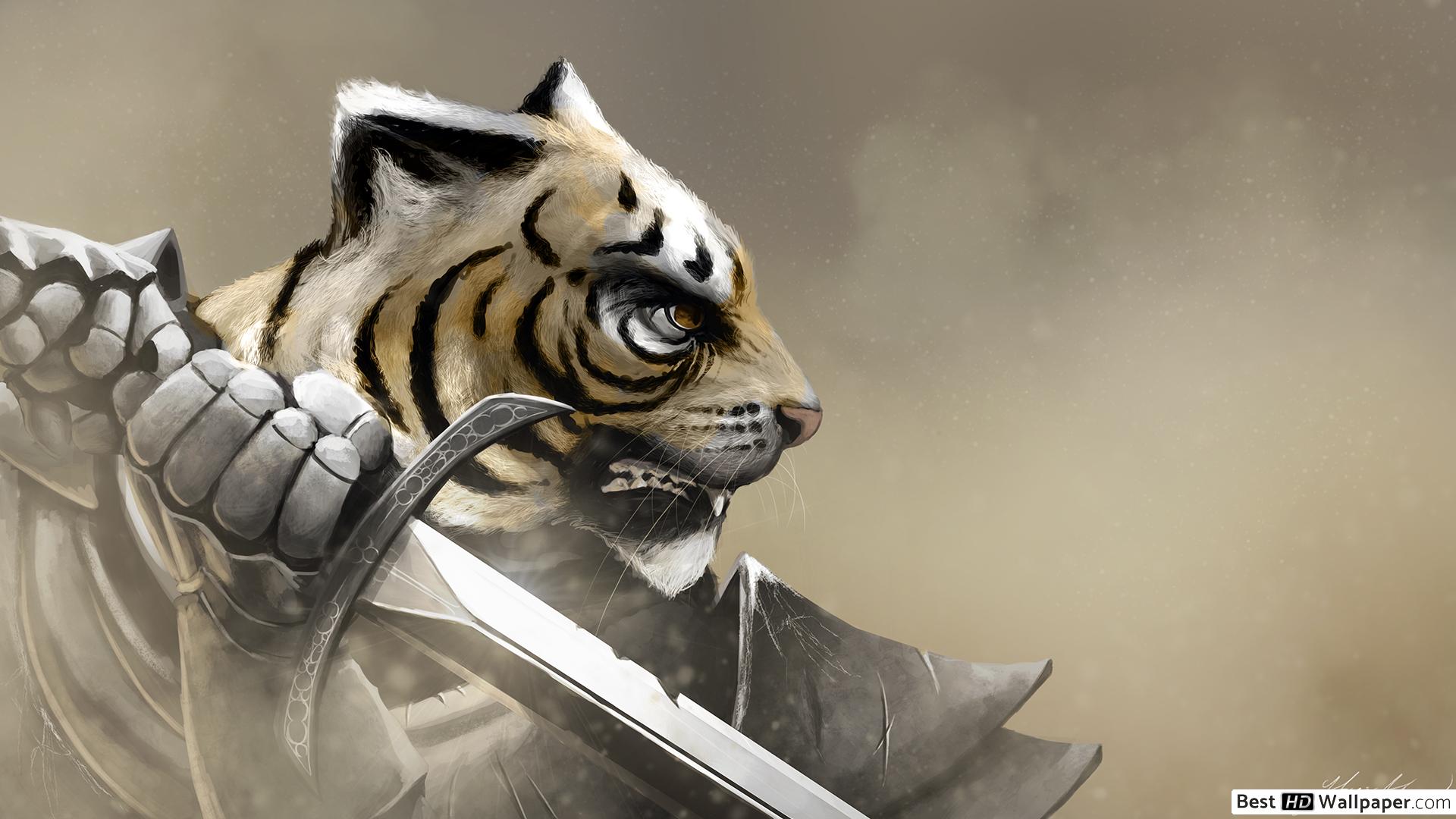 Primo piano volto tigre, 1920x1080 Full HD, PC Desktop