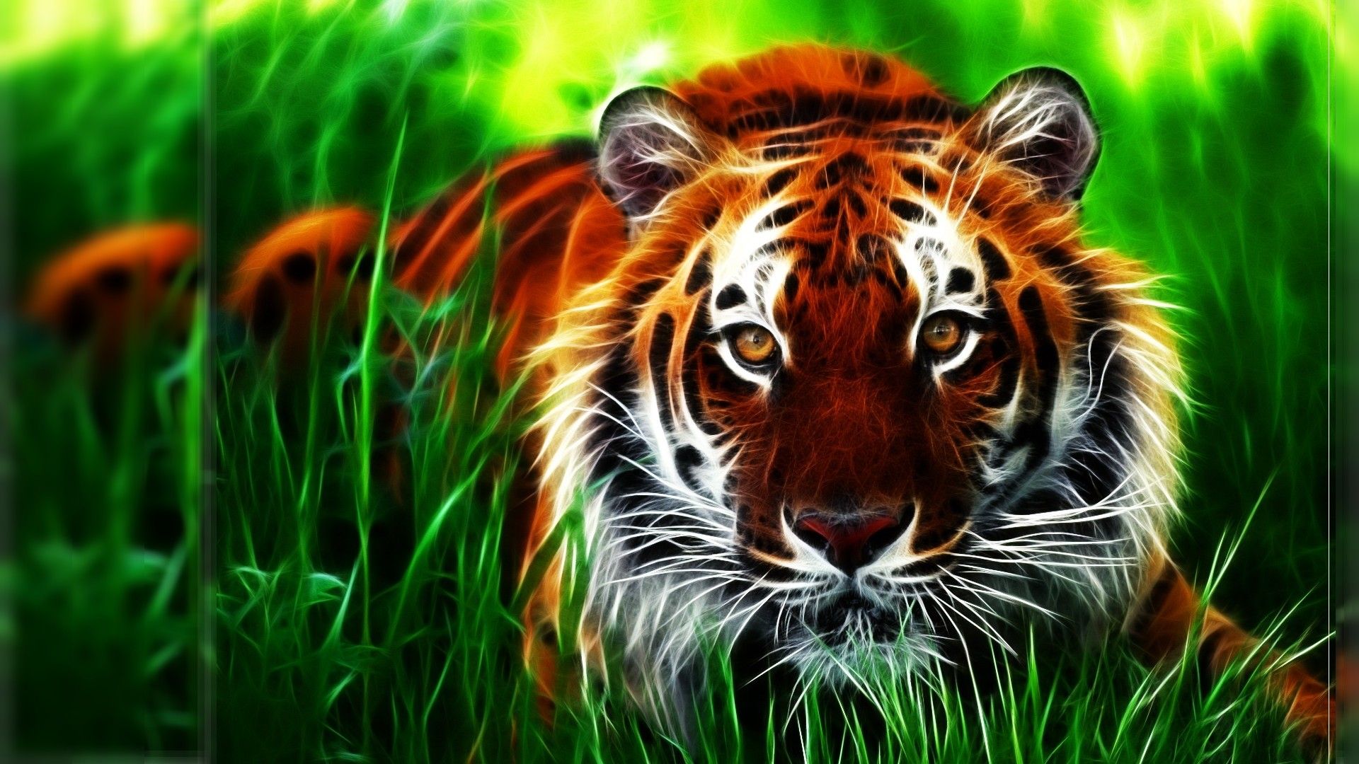 tigre rossa erba verde, 1920x1080 Full HD 1080p, Desktop