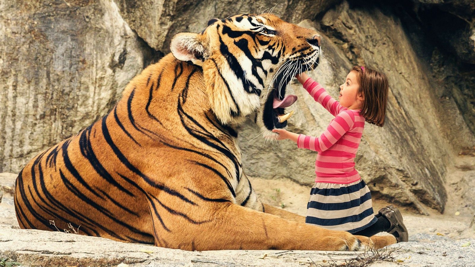 bambina gioca con tigre, 1600x900 900p, Desktop