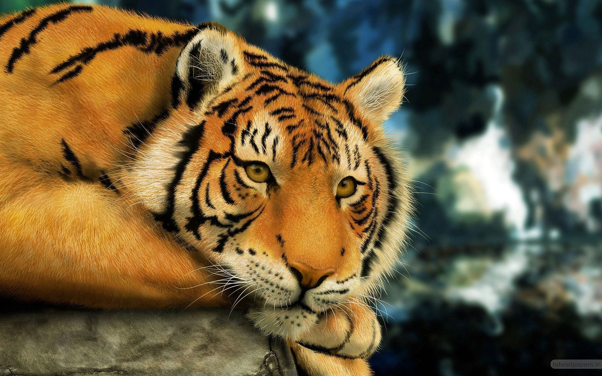 tigre sdraiata su roccia, 1920x1200 WUXGA, PC Desktop
