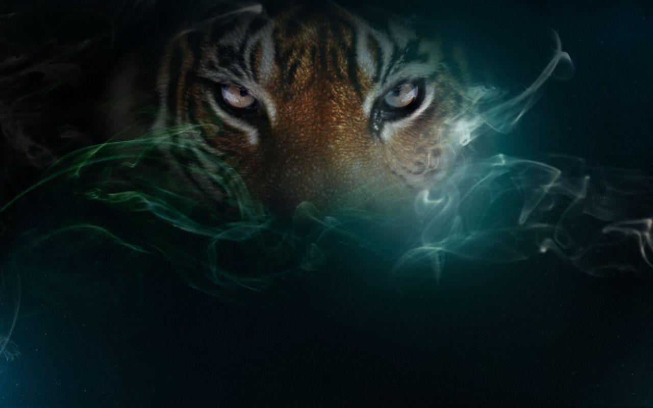 occhi tigre fumo verde, 1280x800 720p, Laptop
