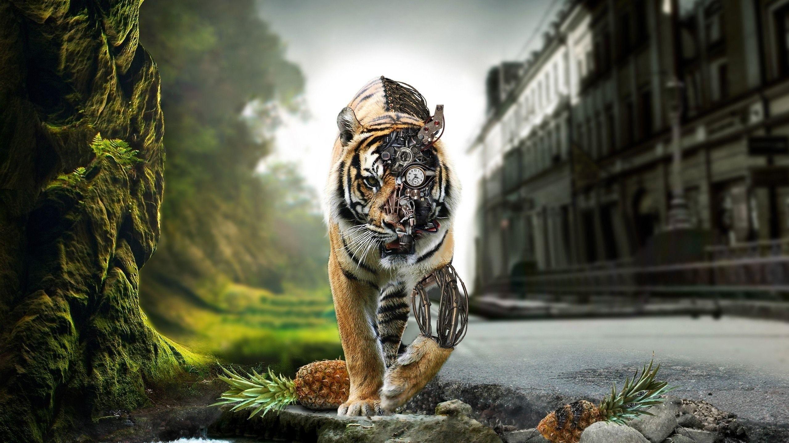 tigre steampunk citta arte, 2560x1440 2K, Desktop