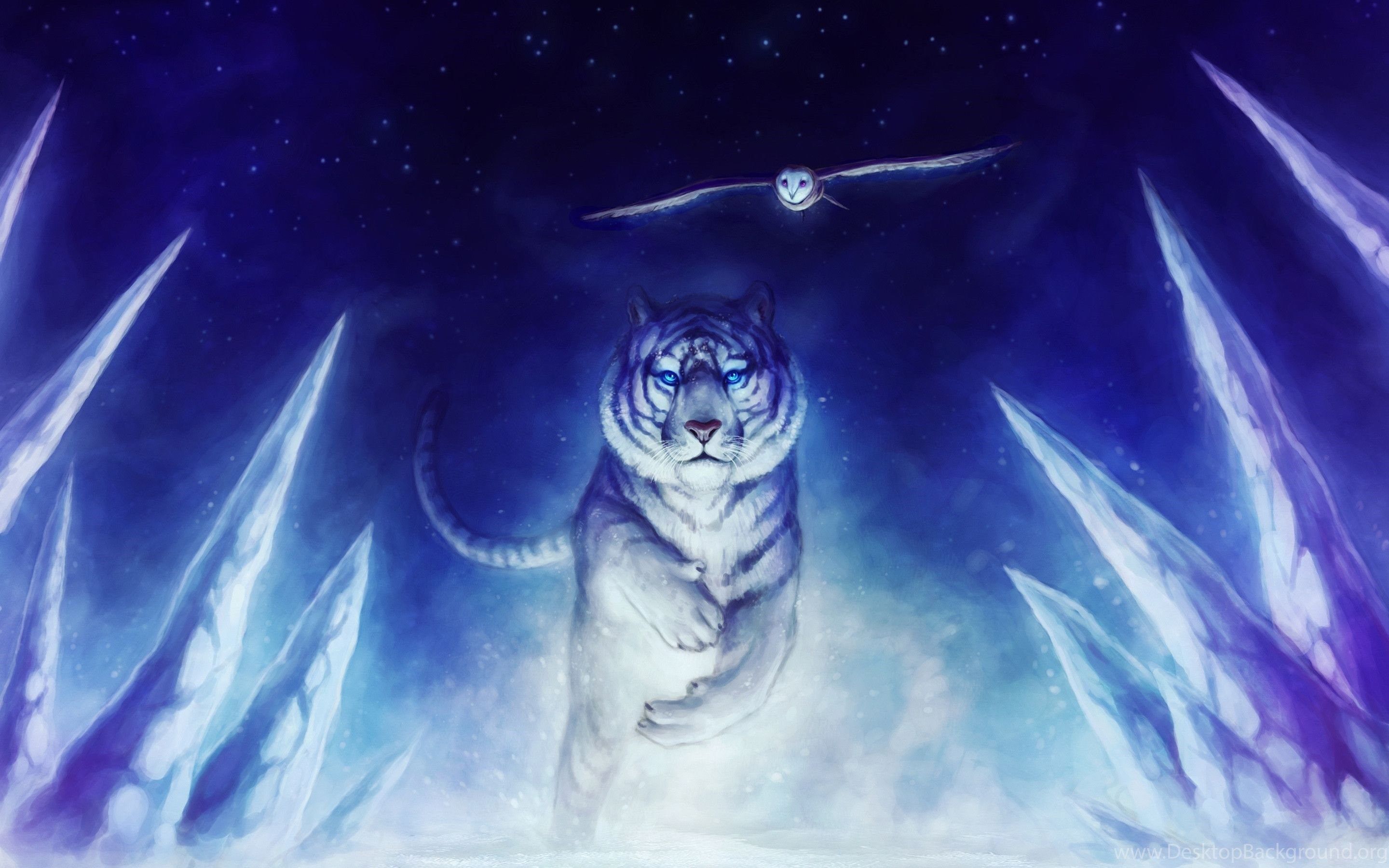 tigre bianca fantasy gufo, 2880x1800 WQXGA, PC