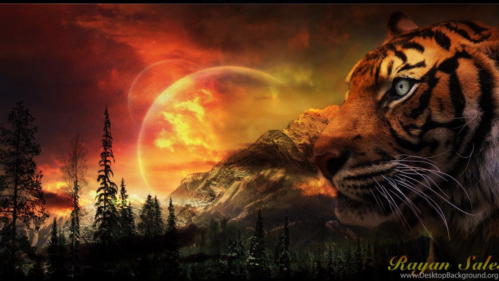 tigre luna rossa montagne, 1600x900 HD, iMac