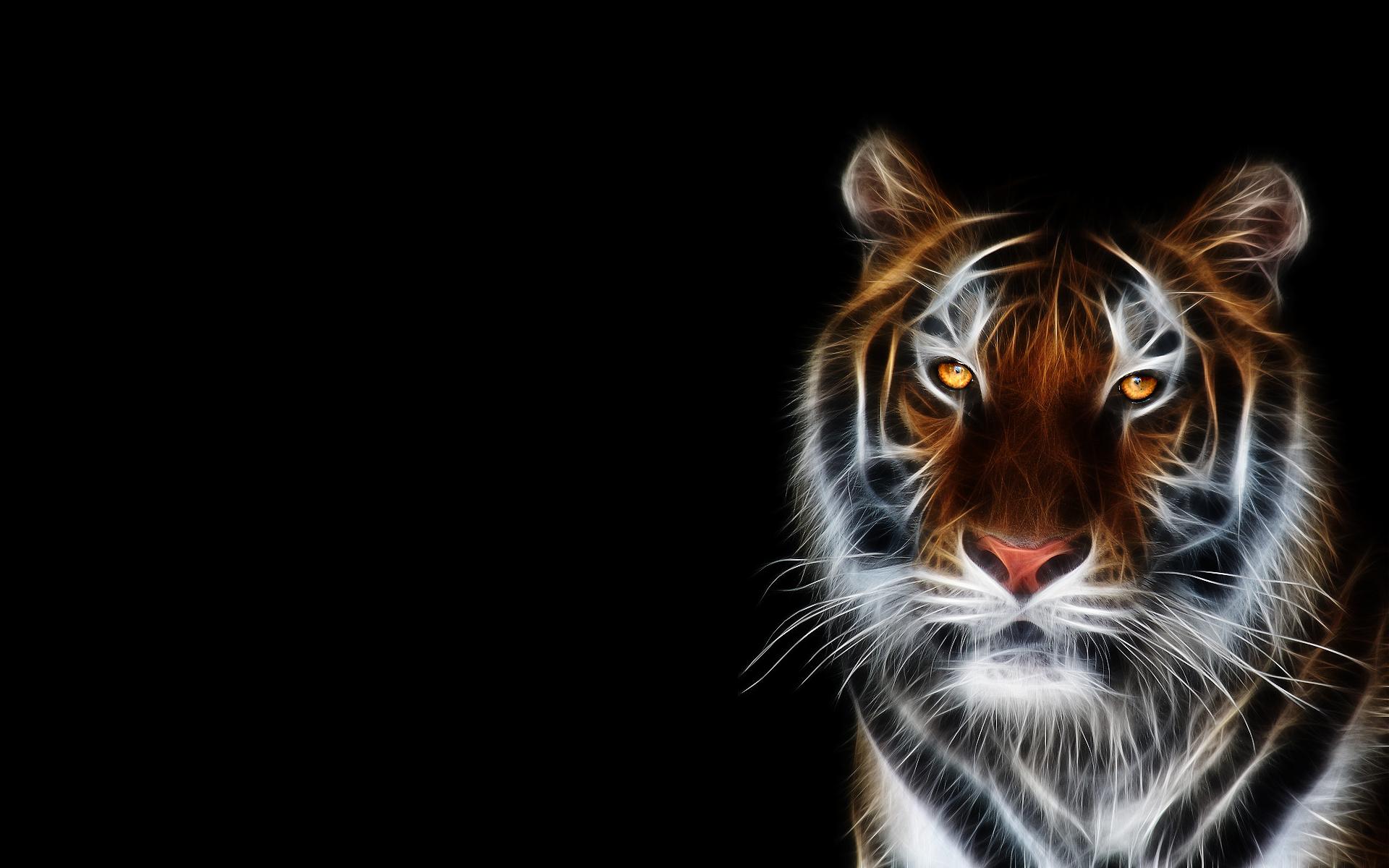 tigre frattale sfondo nero, 1920x1200 WUXGA, Desktop
