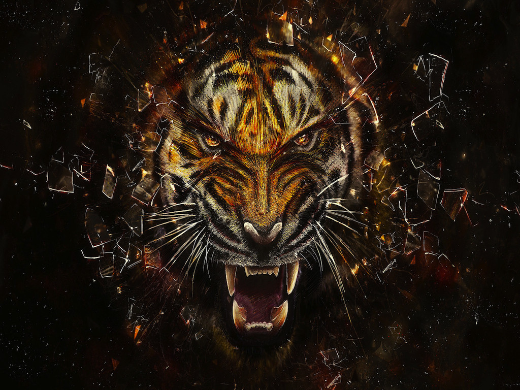 tigre ruggente vetri rotti, 1024x768 HD, Laptop