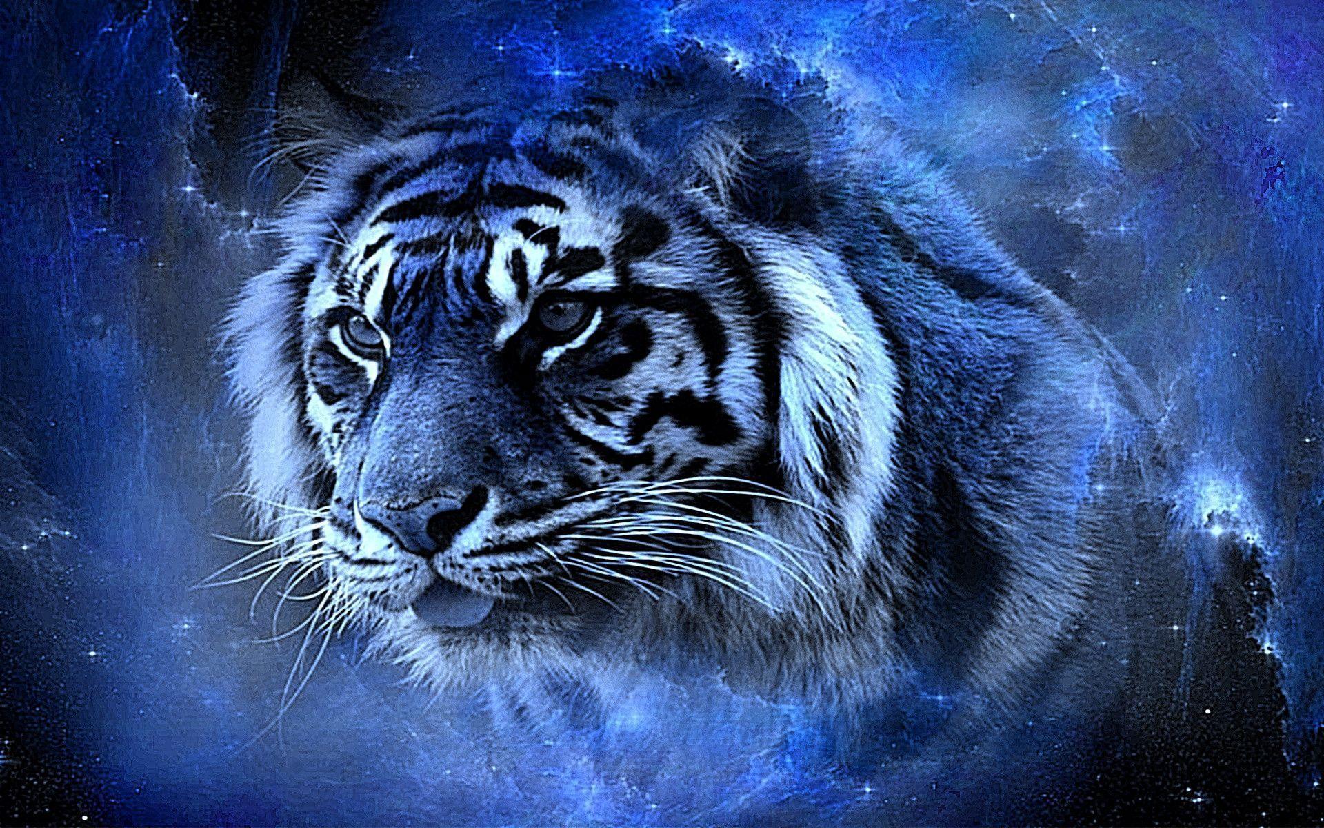 tigre blu cielo stellato, 1920x1200 Full HD+ WUXGA, PC