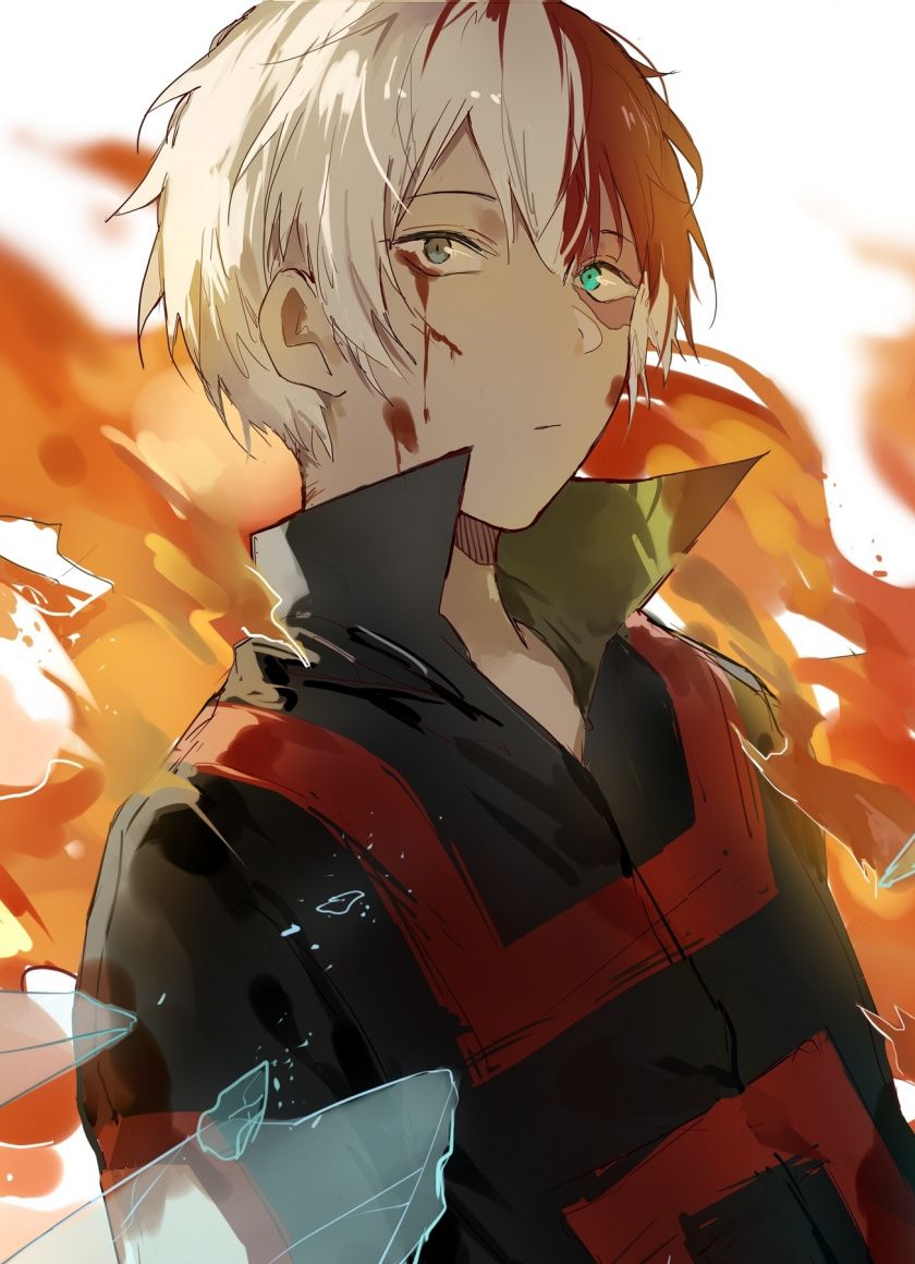 Todoroki Shouto, My Hero Academia, 840x1160 Full HD Verticale, iPhone Pro Max